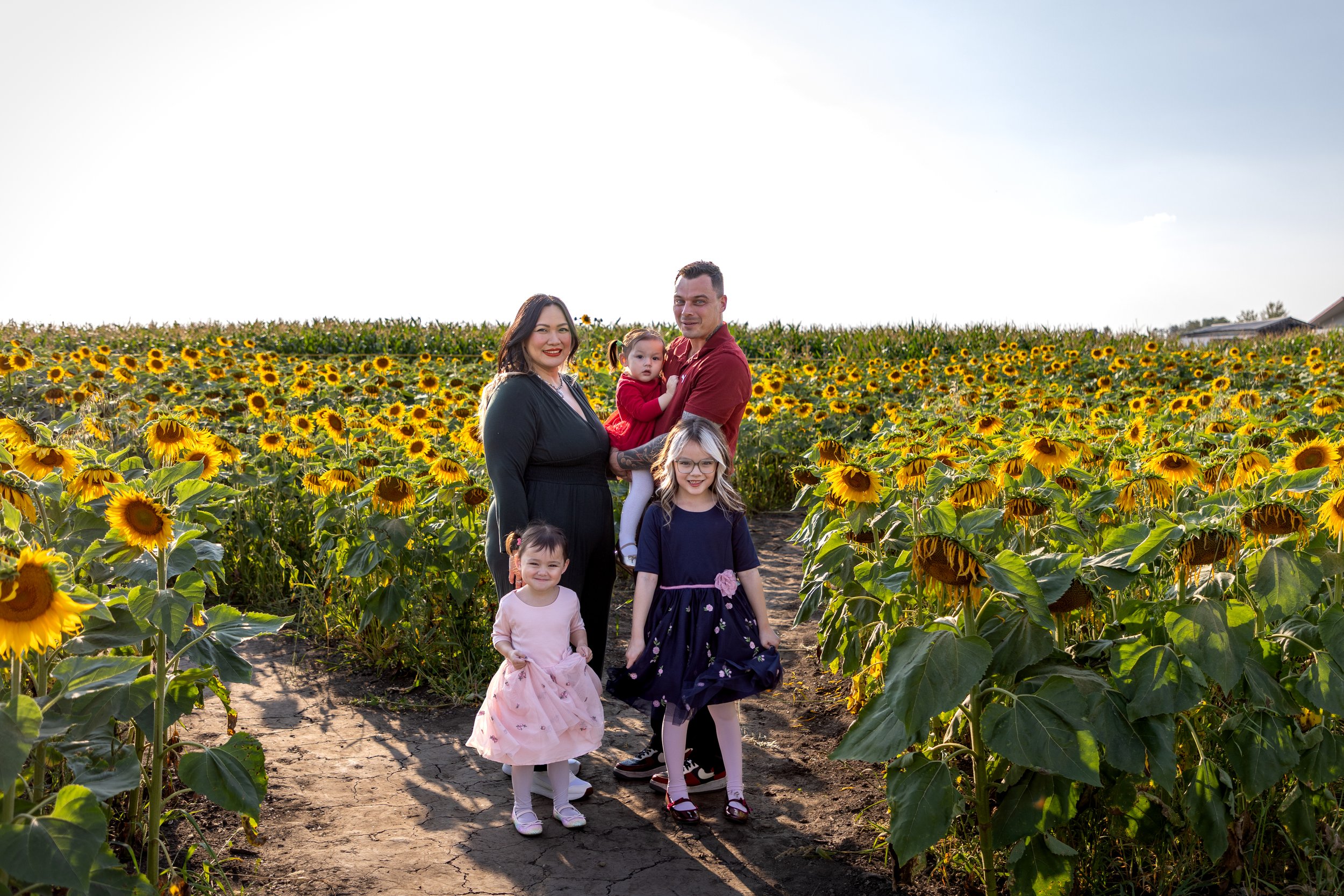 YEG Sunflower Family Photographer