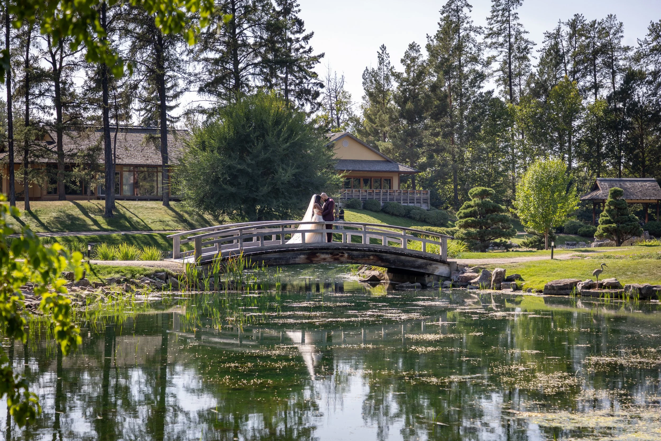 Alberta Wedding and Portrait Photographer
