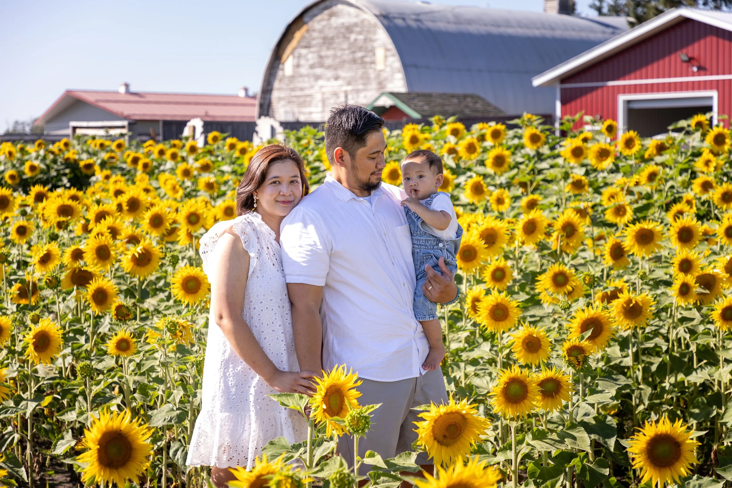 Sunflower Family Session - Edmonton Alberta