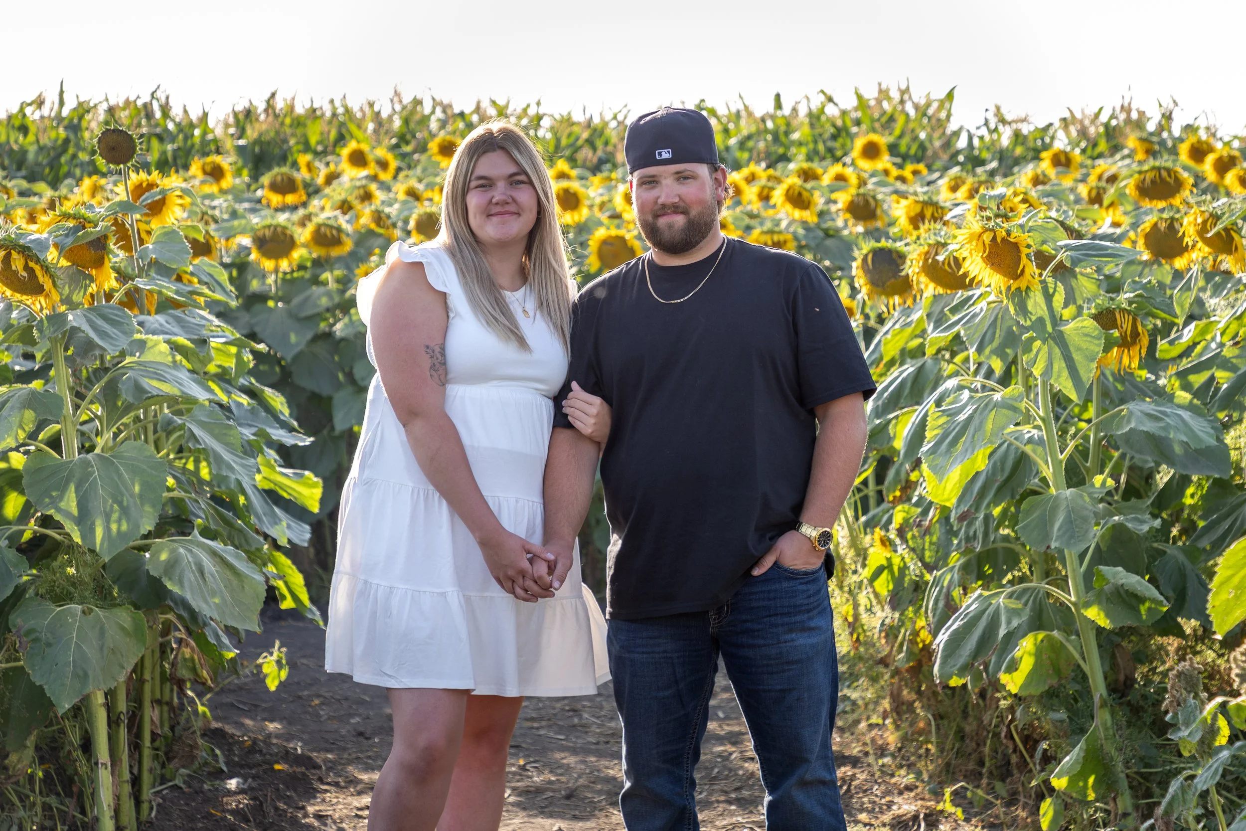 Sunflower Field Alberta Photographer