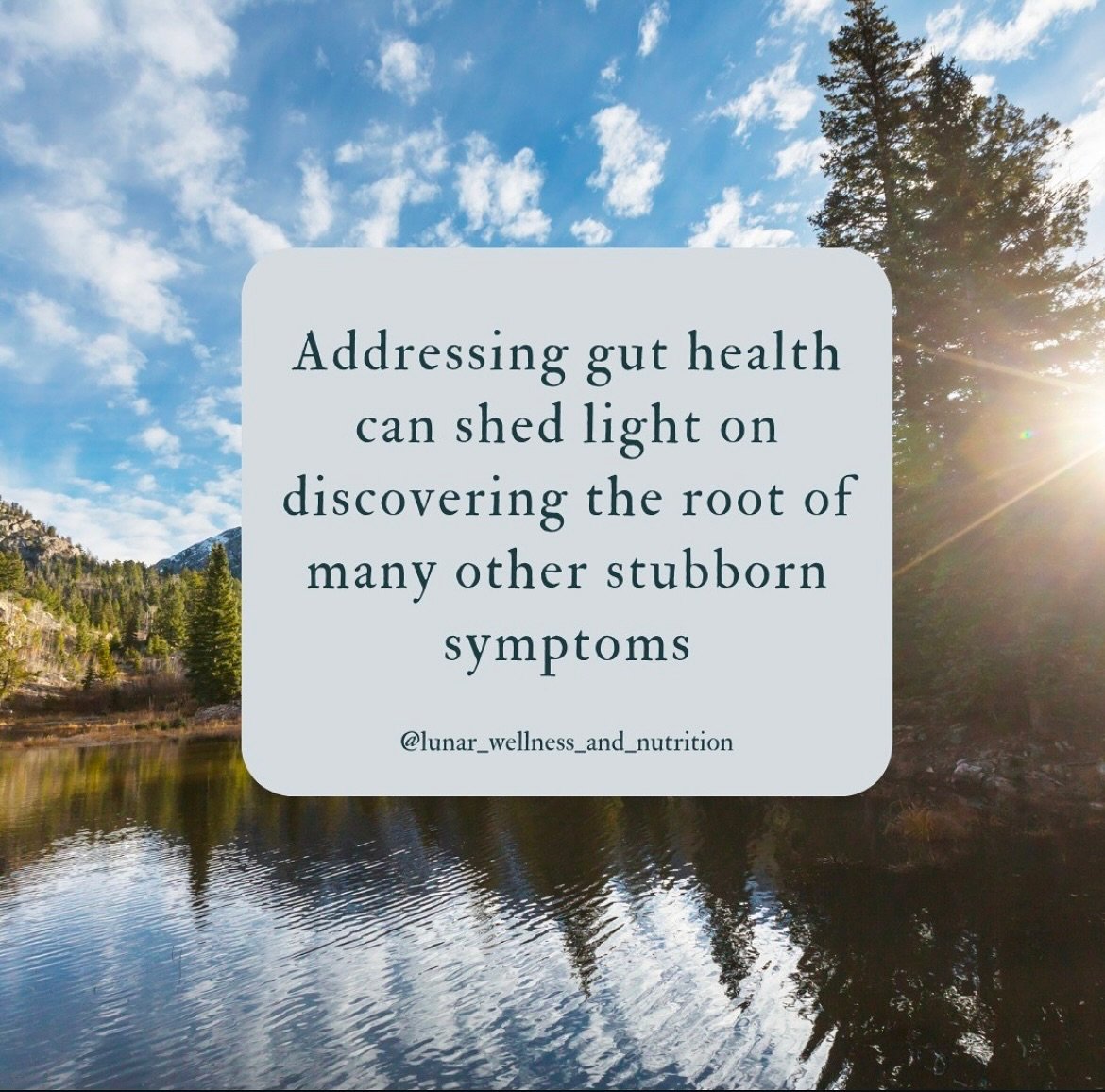 🌿 Did you know your gut health can tell you a lot about the rest of your body&rsquo;s well-being?

When your gut&rsquo;s out of balance, it can stir up inflammation that spreads like a ripple through your whole being. Think of it like a garden; when