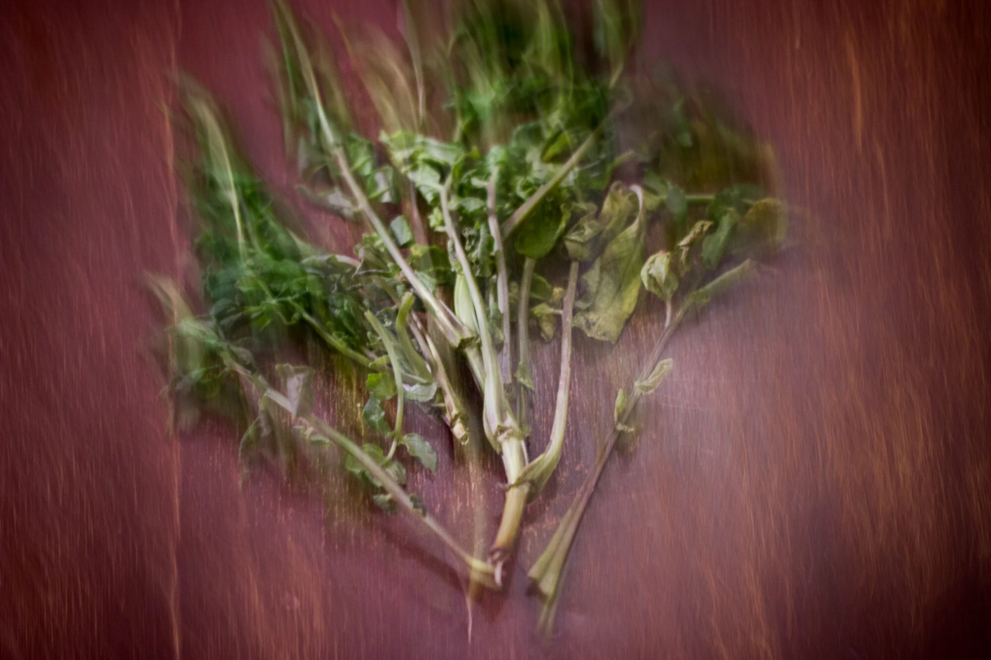 Healing Through Remembering 