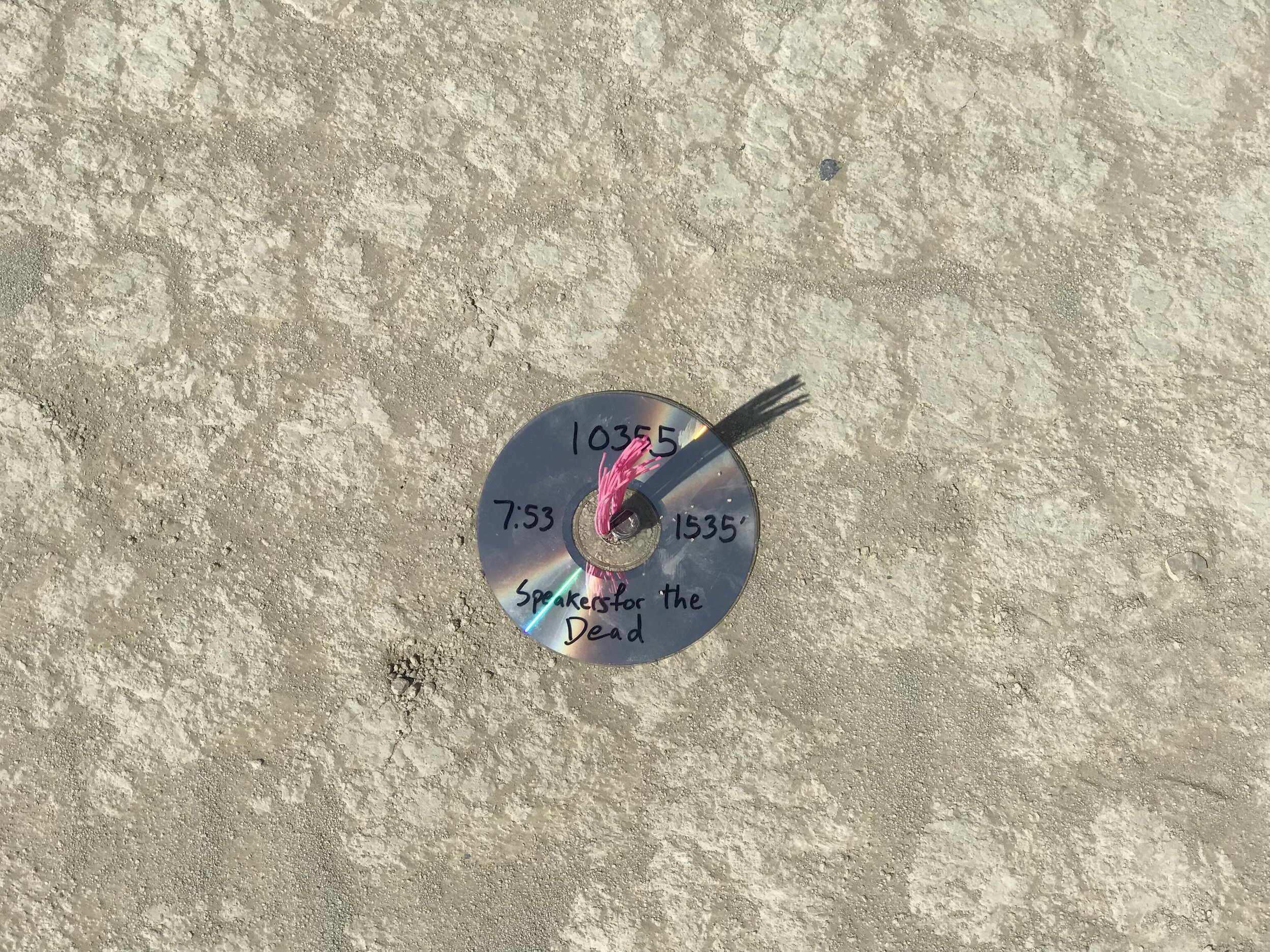 The floof(?) marks the spot of the piece's location on the playa