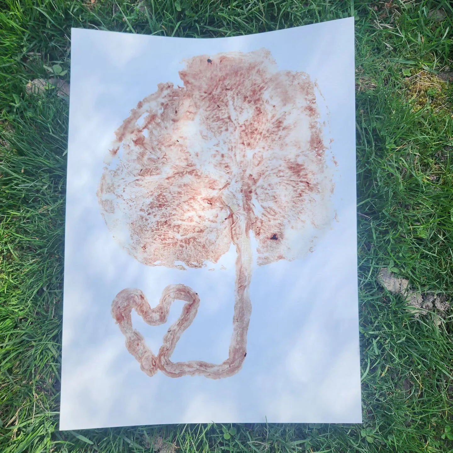 I had the pleasure of printing and encapsulating this incredible placenta recently.  The paper used here is 11"x17" and this gorgeous placenta took up the whole page! 

#placentaencapsulation #placentaartprint #treeoflife #doula #doulalife 
