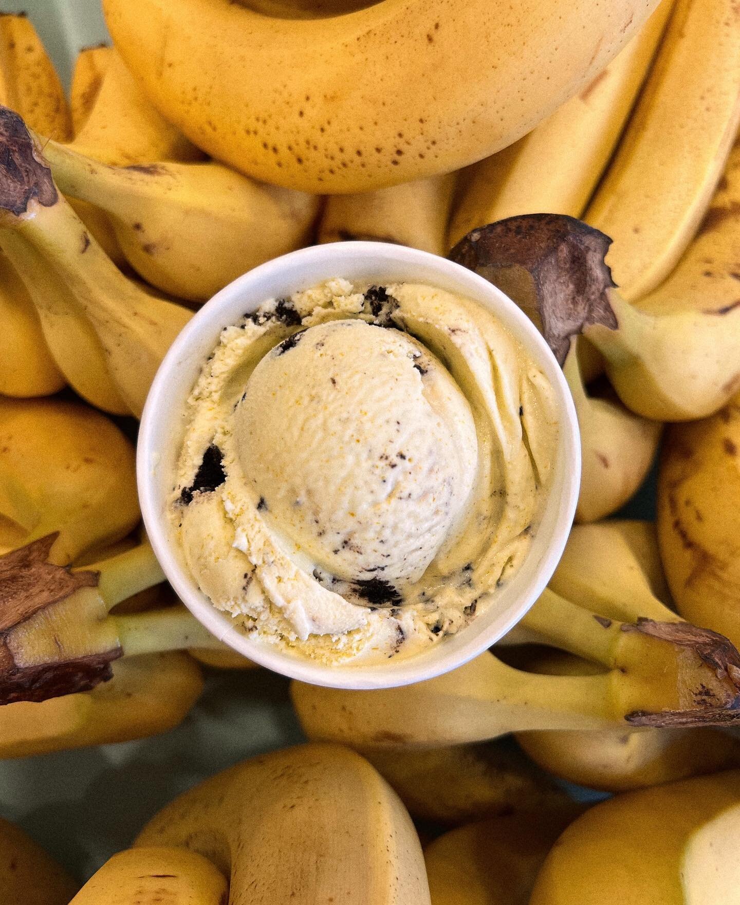 It&rsquo;s back! Just in time for this wonderful weather we&rsquo;re having😍 Come by to try our top seller,  Banana Oreo 🍌🍨 Available in pints for delivery on @ubereats &amp; @caviar
.
.
.
.
.
.
.
.
.
.
.
.
.
#lanasoakland #oakland #bayarea #foodi