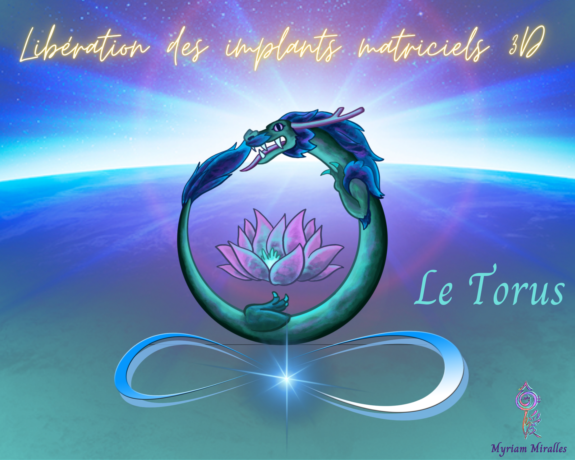 Soin Torus & Ouroboros- LIBERATION DES IMPLANTS 3D.png