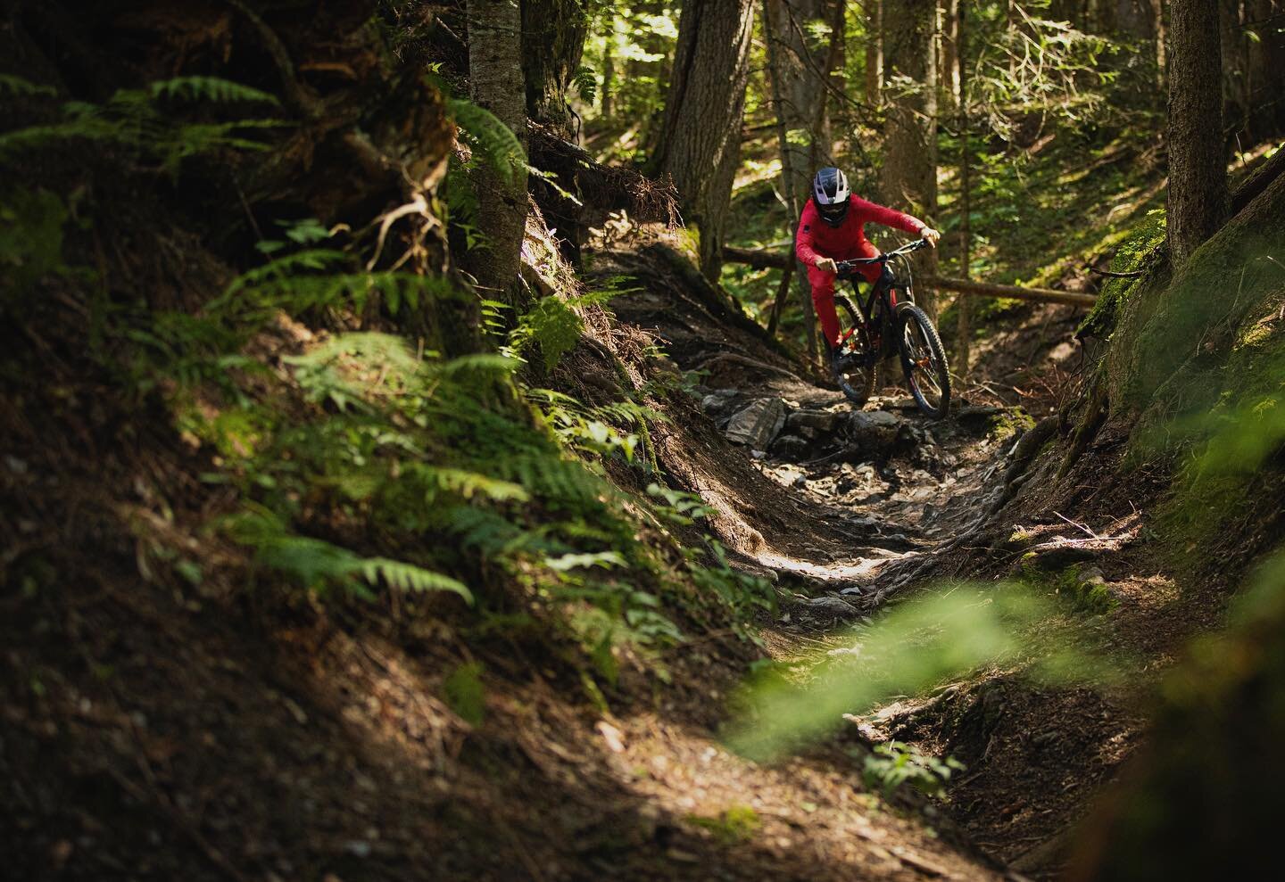 Red kit guy 🎴&thinsp;
&thinsp;
📸 @velomejess 
&thinsp;
#mtblife #mountainbike #mtb #downhillmtb #mtblove #mtblifestyle