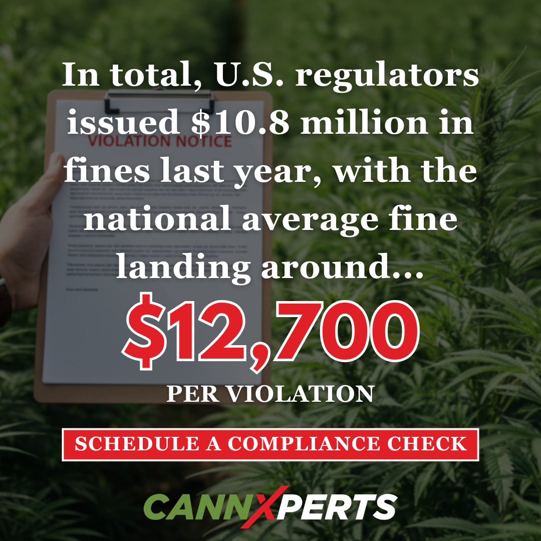 What Michigan’s Cannabis Violations Tell Us About the Real Cost of Noncompliance