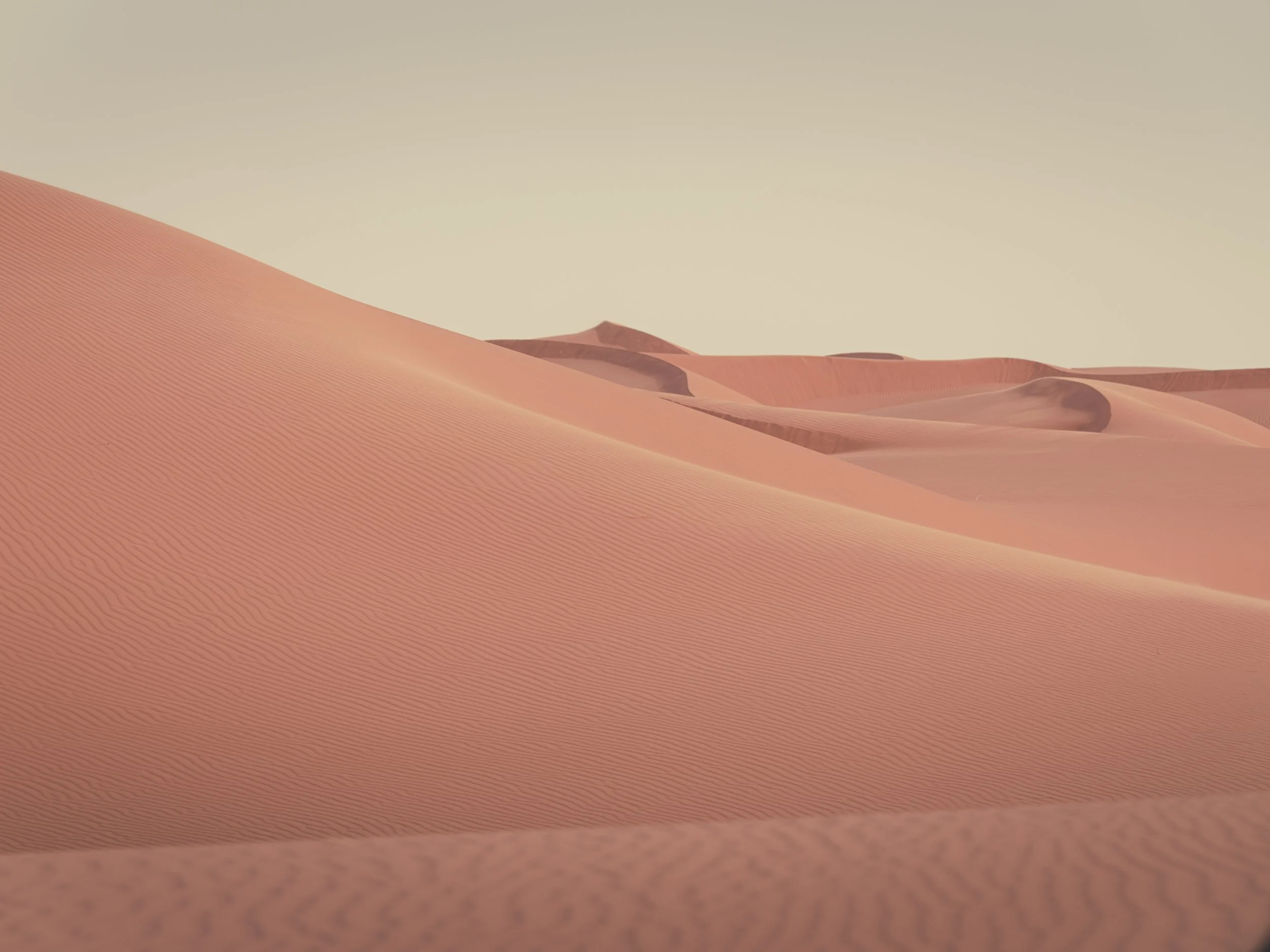 O•P - Website Images ( X2D II ) (Processing - Custom) - (Not Cropped) (For Sharing) (-) (090126)-88.jpg