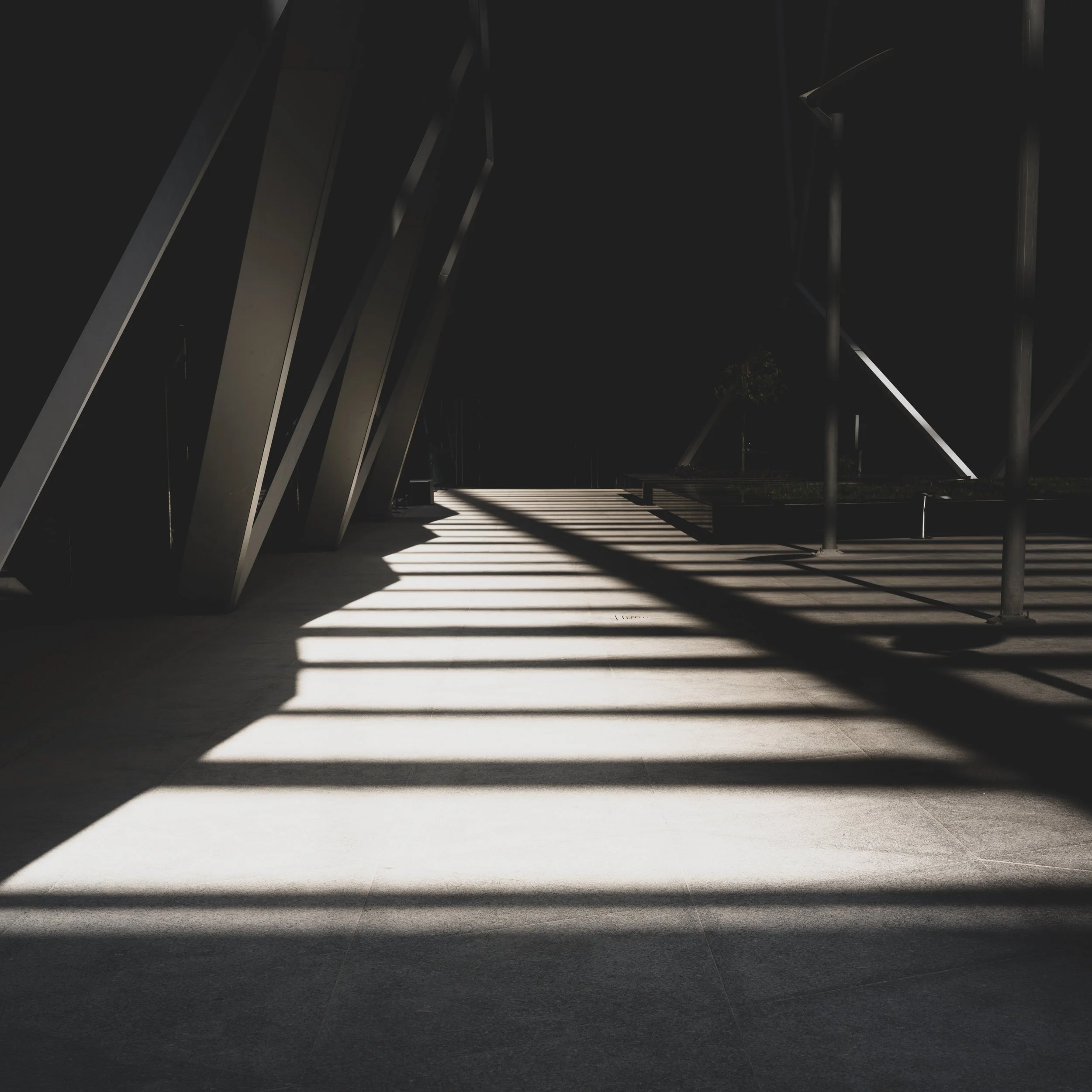 O•P - Website Images ( X2D II ) (Processing - Custom) - (Not Cropped) (For Sharing) (-) (090126)-12.jpg