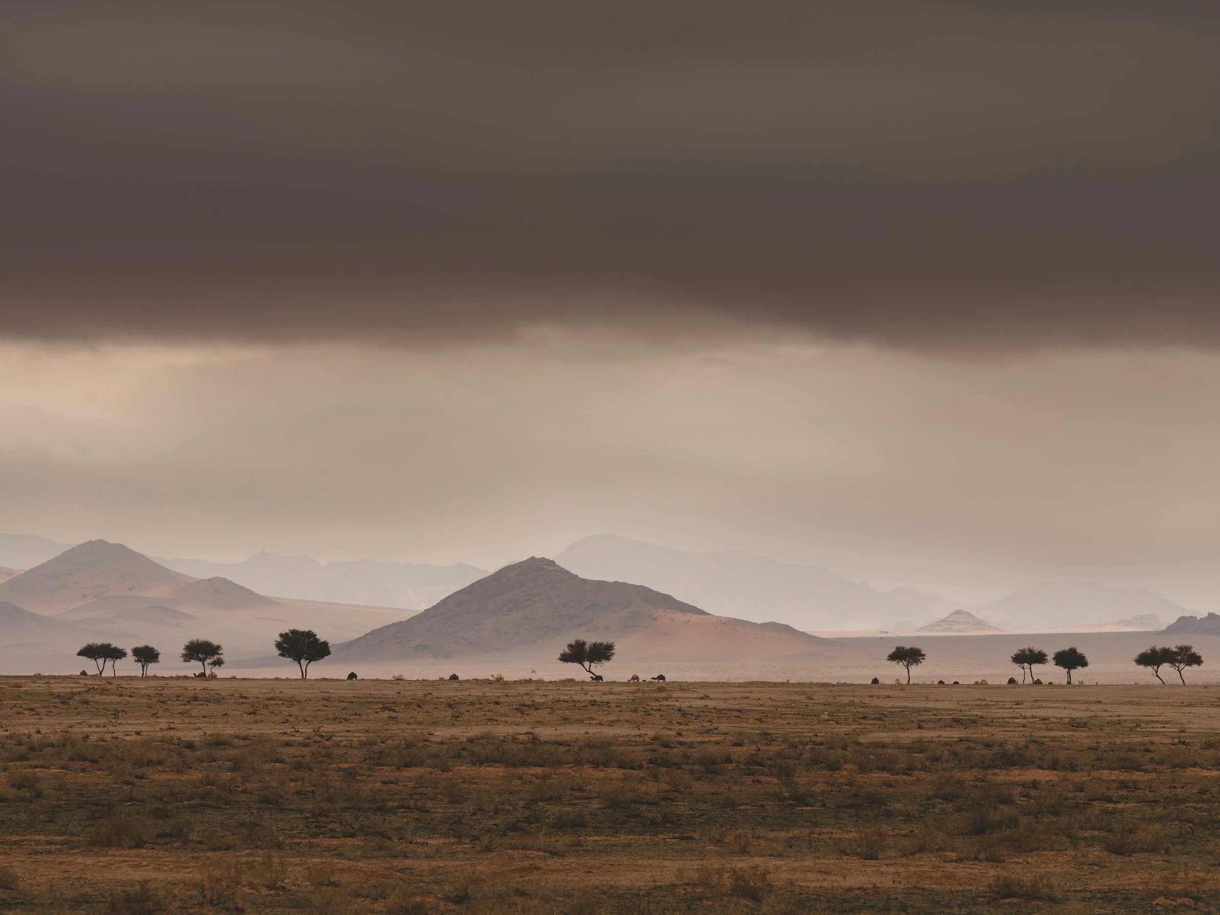 O•P - Website Images ( X2D II ) (Processing - Custom) - (Not Cropped) (For Sharing) (-) (090126)-15.jpg