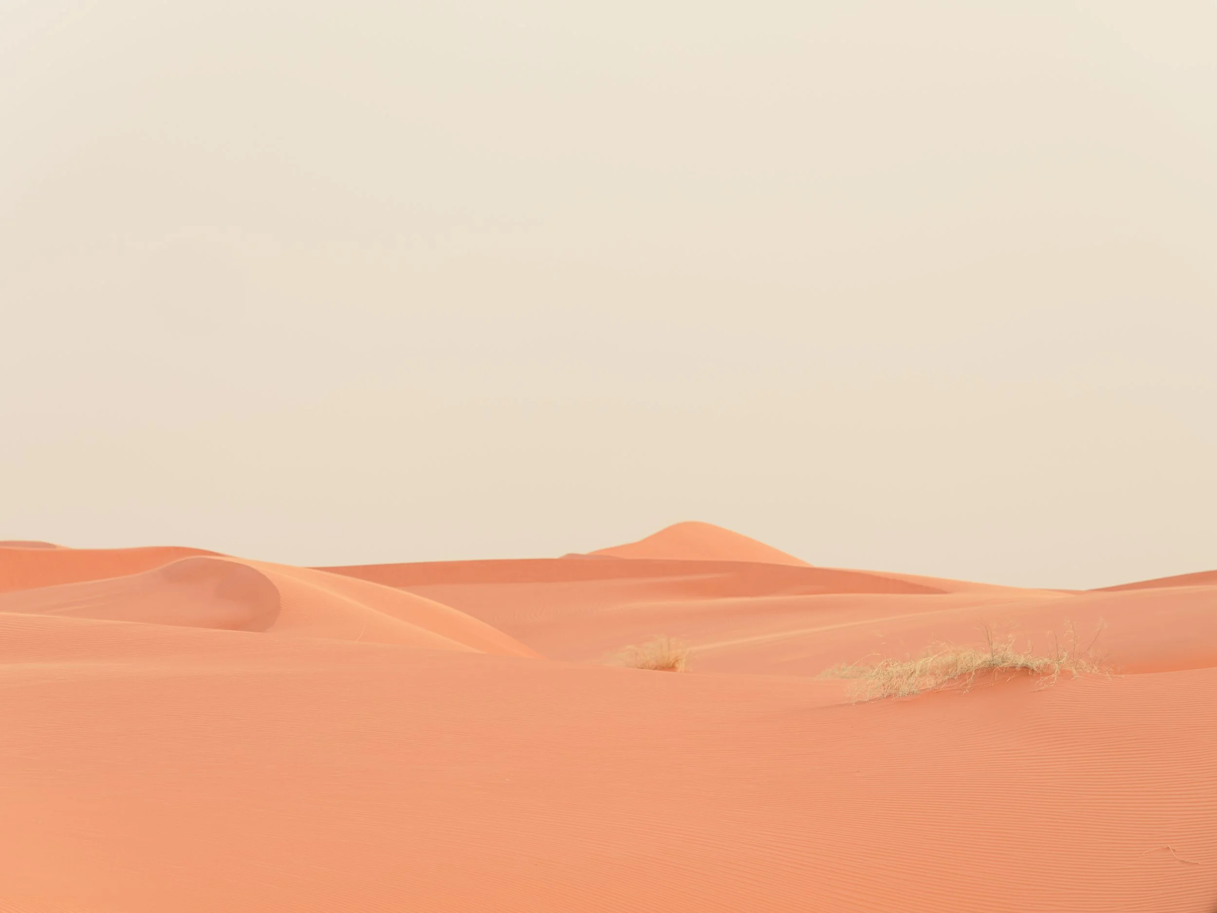 O•P - Website Images ( X2D II ) (Processing - Custom) - (Not Cropped) (For Sharing) (-) (090126)-90.jpg