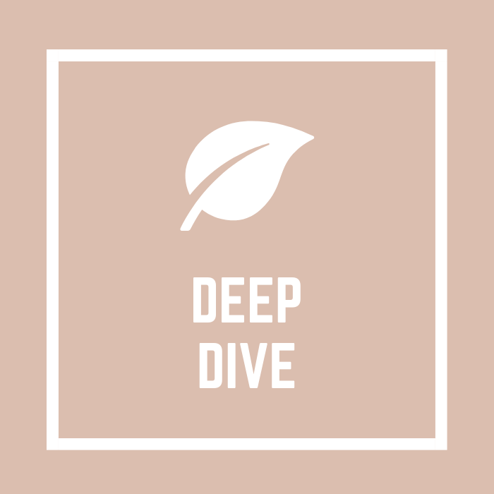 Holistic Health Consultation - Deep Dive