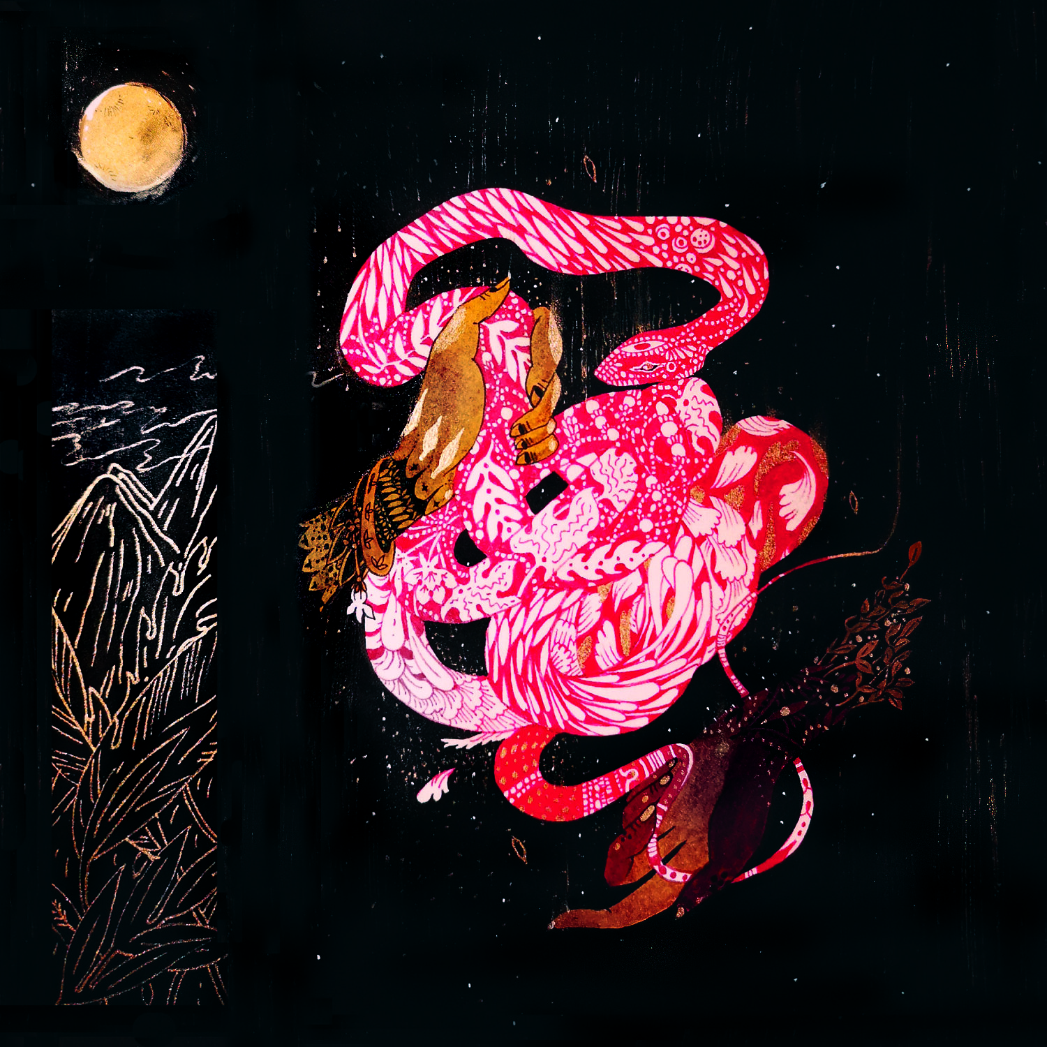 Aluma Album Cover