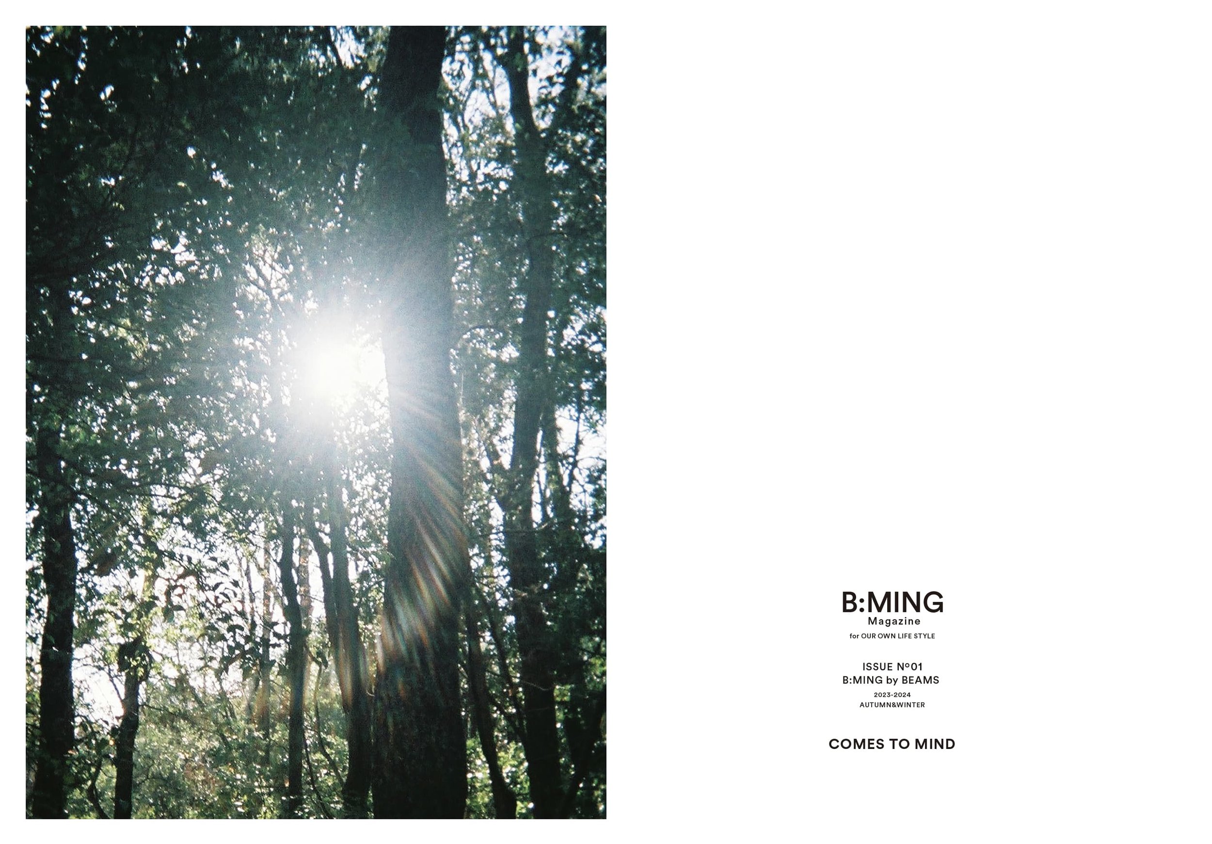 bming_magazine_v1_24.jpg