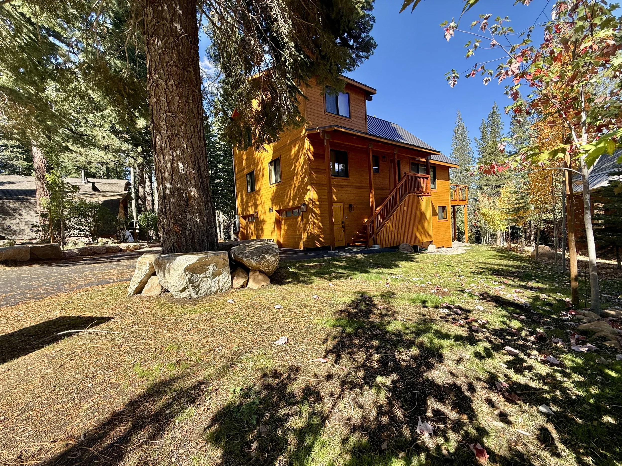 A wooden house with a metal roof is surrounded by tall trees. There is a rocky area in the foreground and a bright blue sky above.
