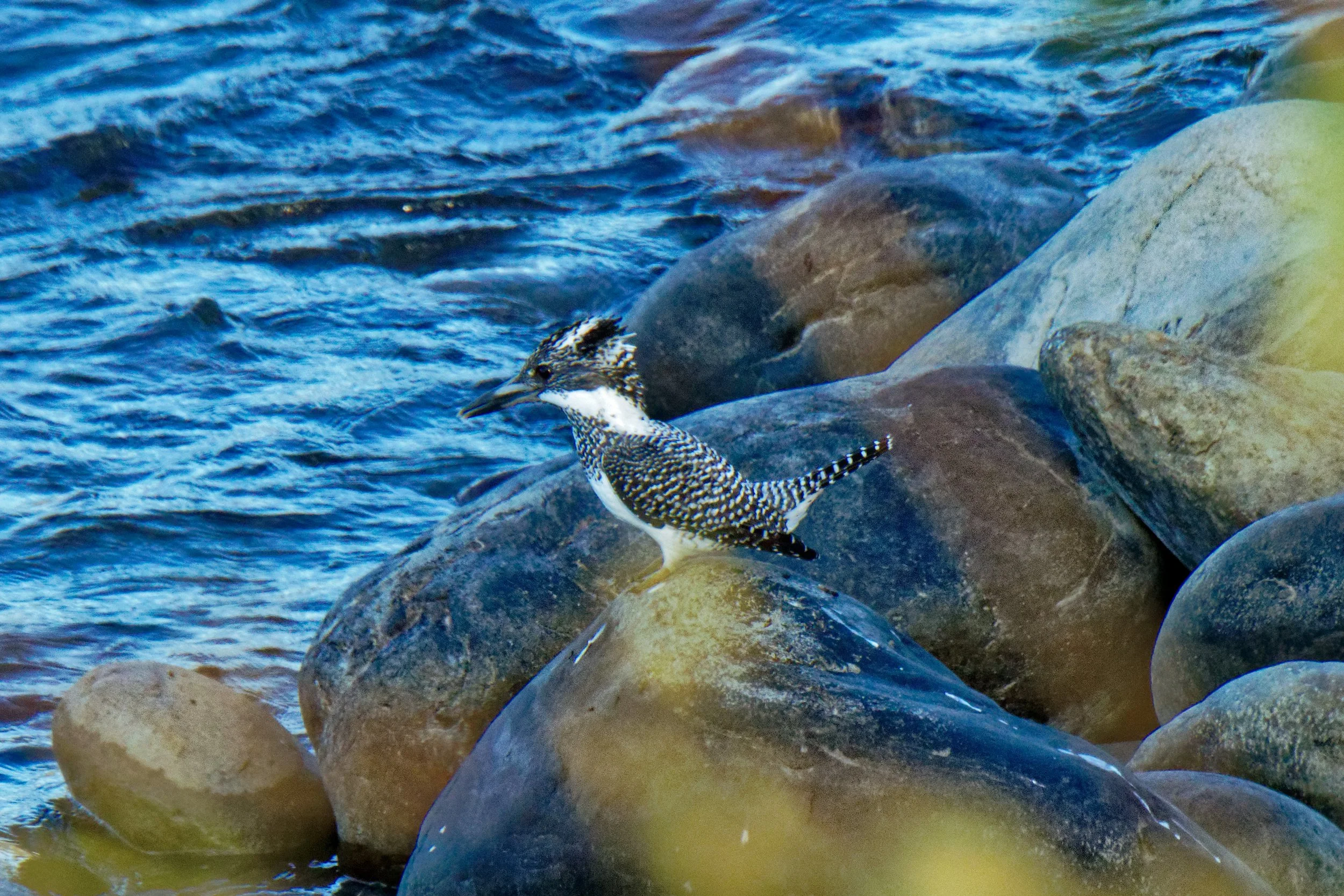 COR_6256_DxO.jpg