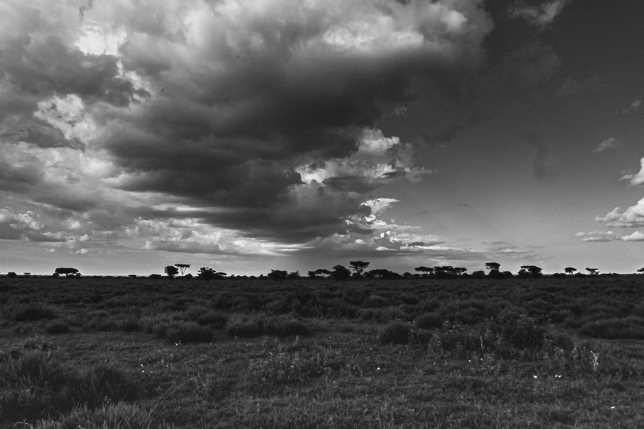 Rain clouds in a swirling build up