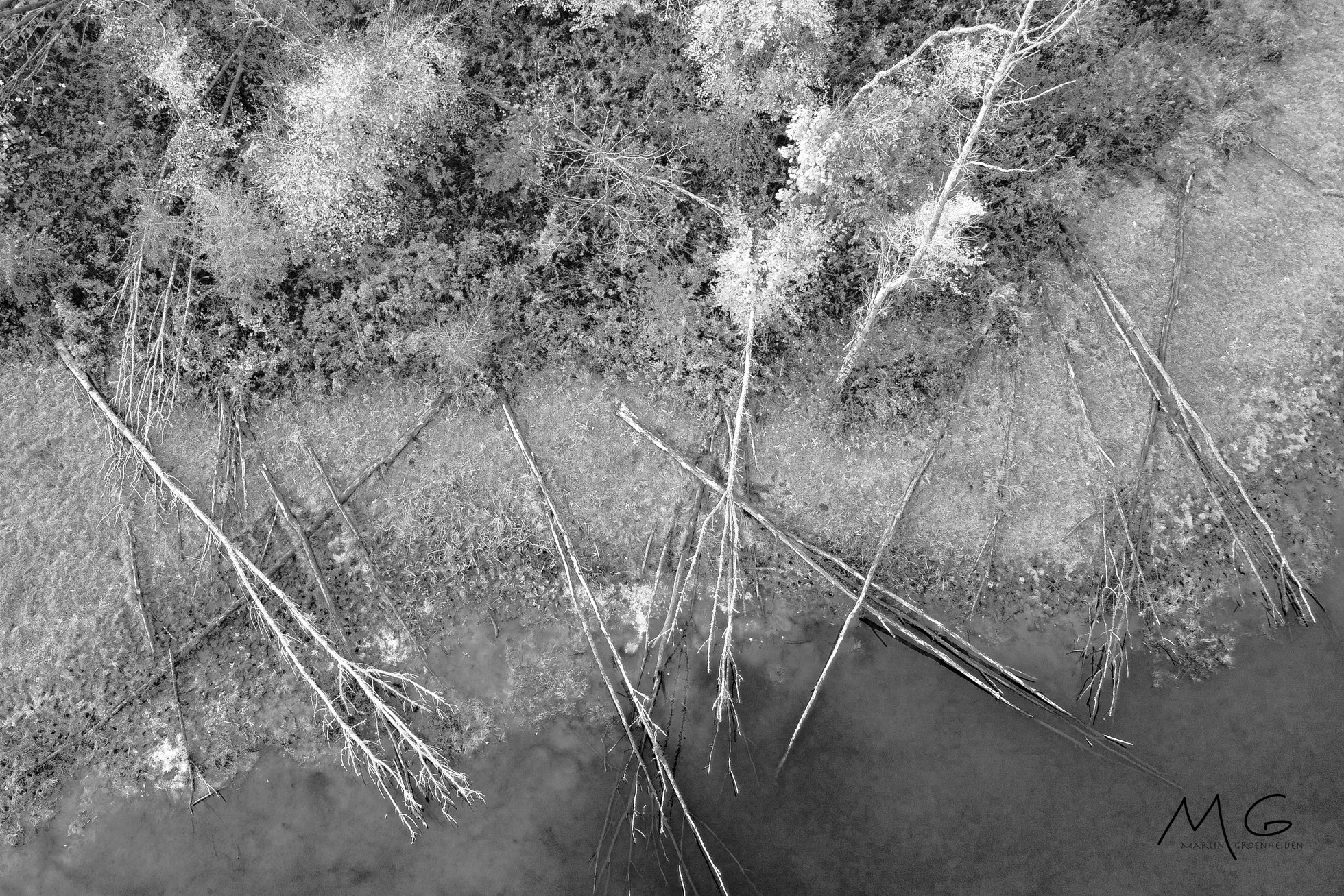 Aerial black-and-white photograph of a forested area with fallen trees and a body of water nearby.