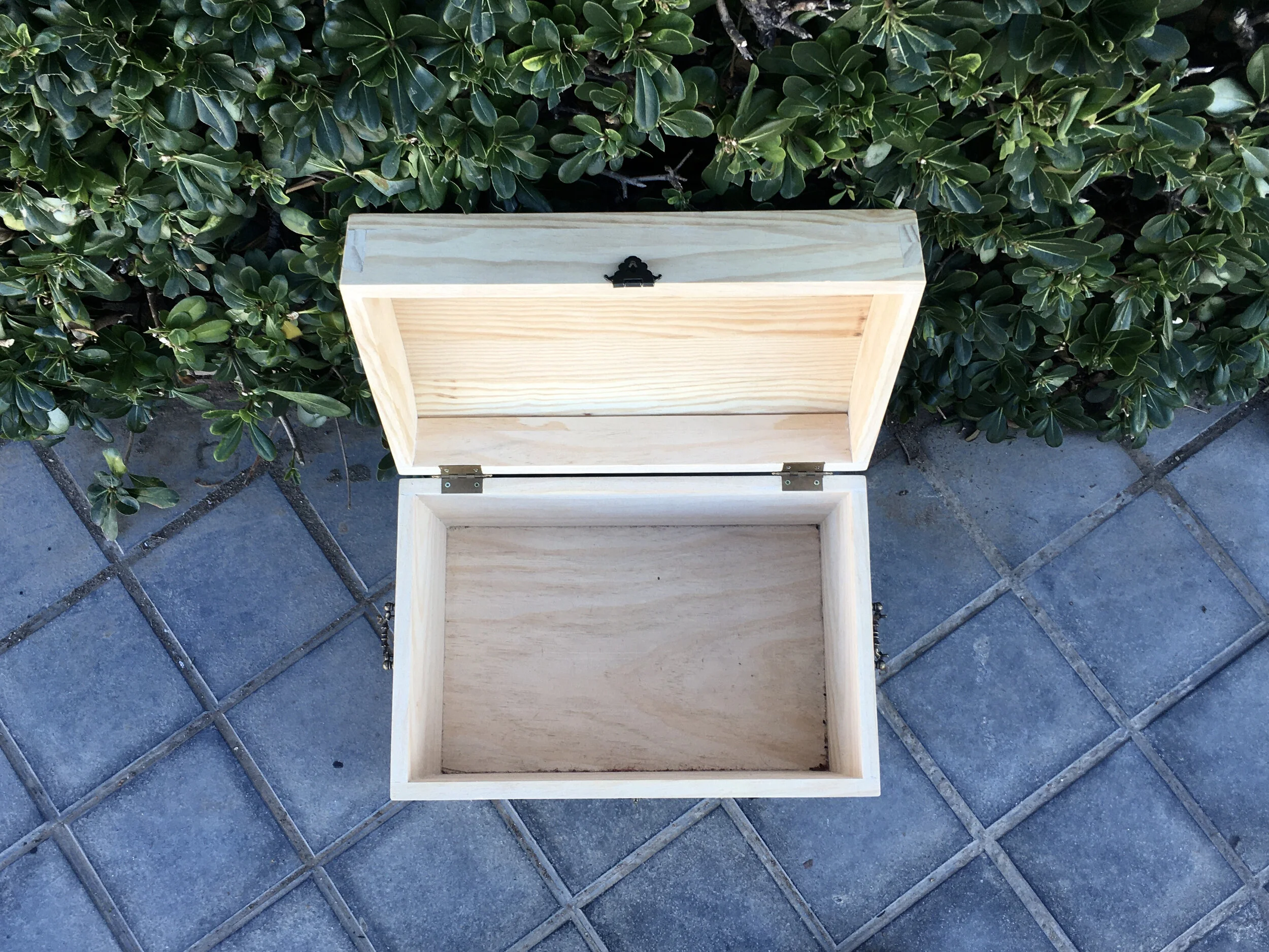 Treasure Chest 2.JPG