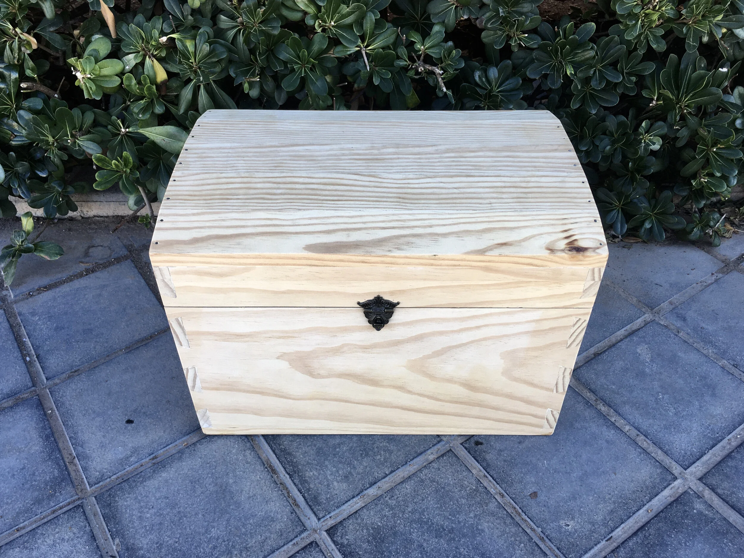 Treasure Chest 1.JPG