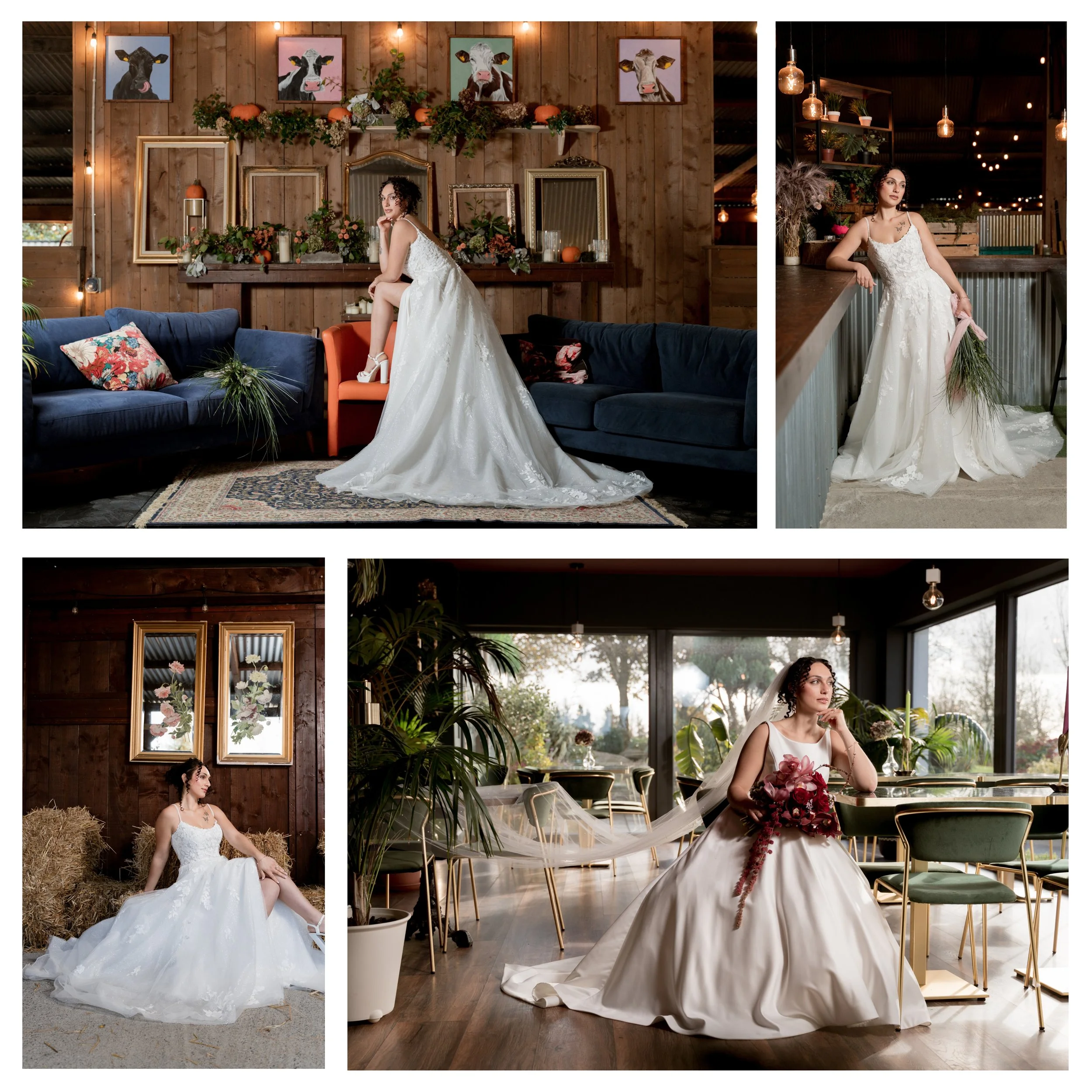 Collage of four photographs featuring women in wedding dresses in various indoor settings: one on furniture with cow-themed artwork above, one leaning on a bar with greenery and warm lighting, one sitting on straw bales with wall art behind, and one 