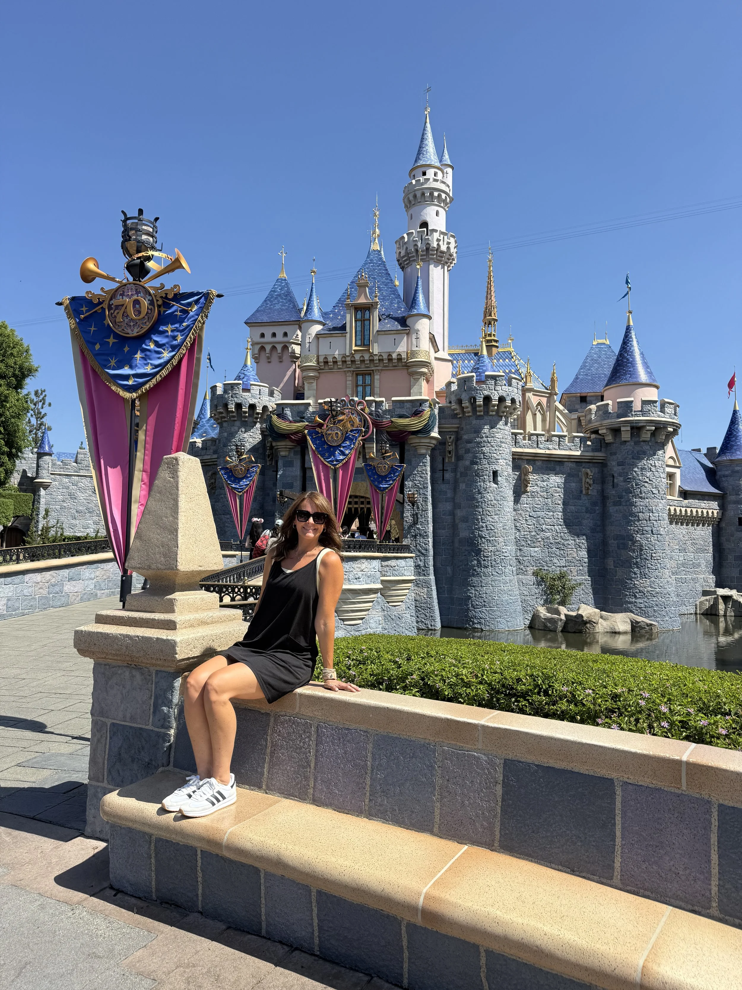 Disneyland/Universal Hollywood