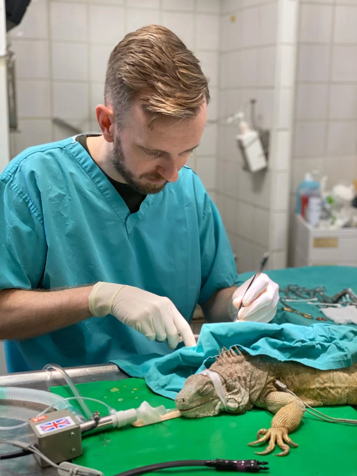 Technician Exotic Animal Clinic Exotic Animal Surgery Medicine