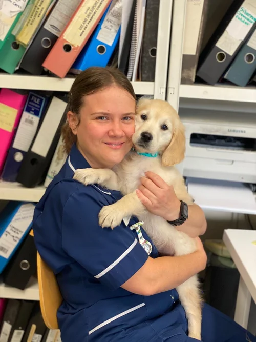 About 1 — CJ Hall Vets