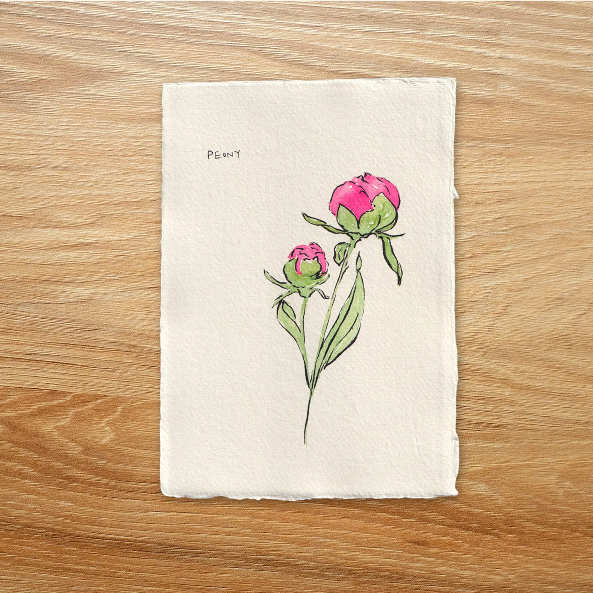Peony