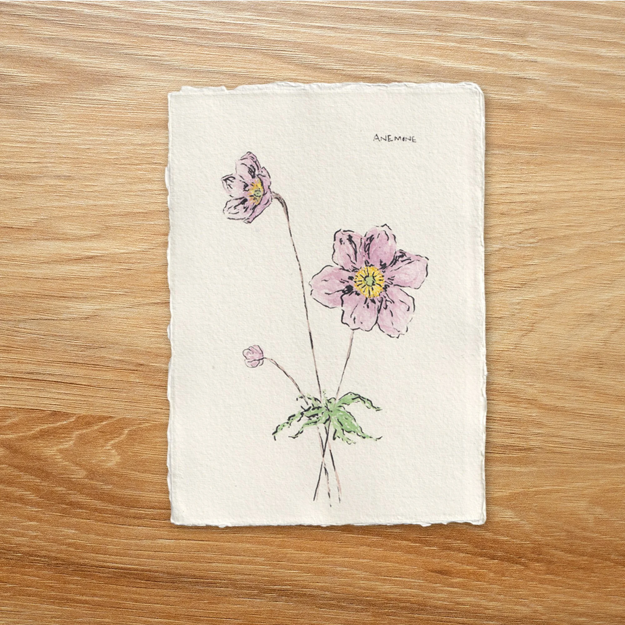Anemone