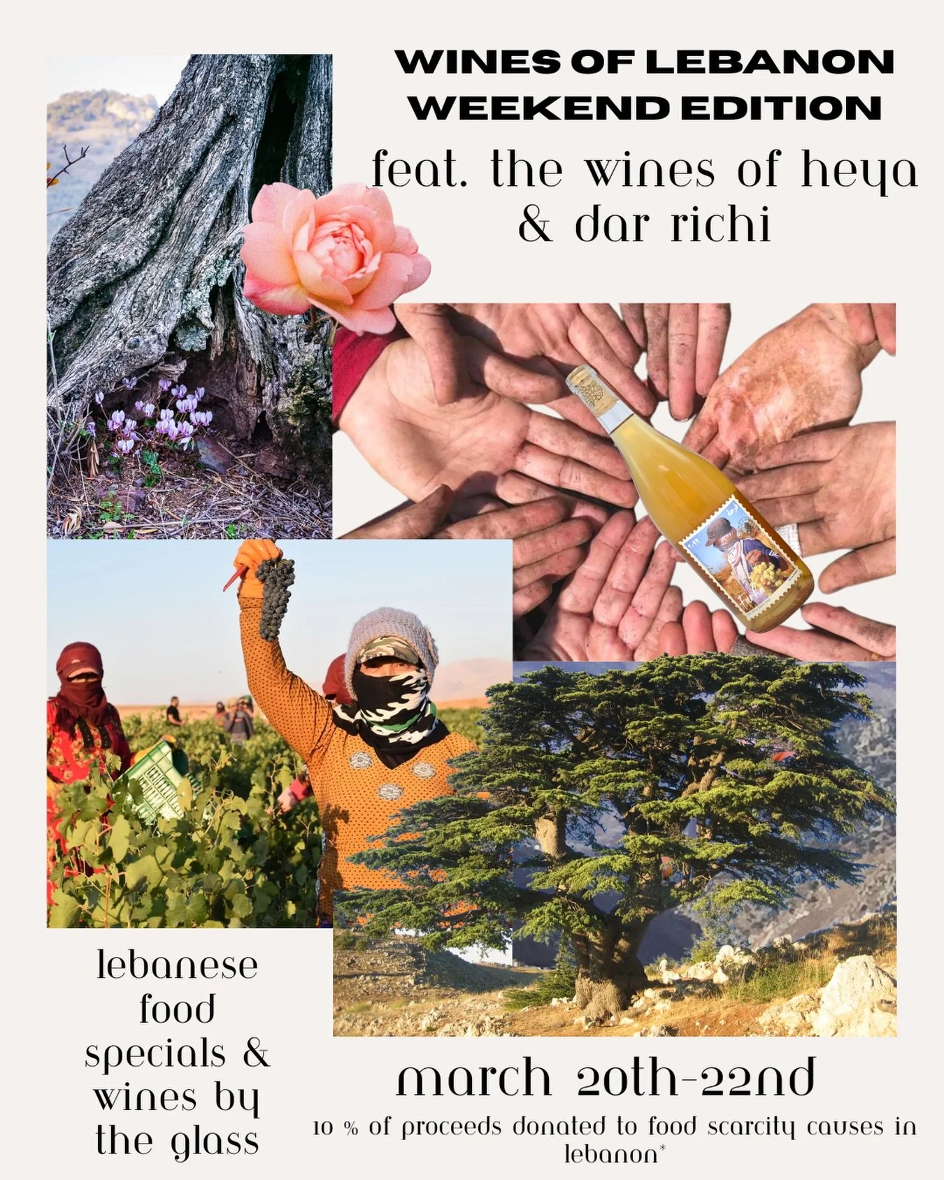 We are excited to be featuring some special glass pours in the wine bar this weekend. 

Hailing from the Bekaa Valley, Lebanon, are the wines of Dar Richi and Heya. Minimal intervention, natural wines from a remarkable and ancient terroir that rarely