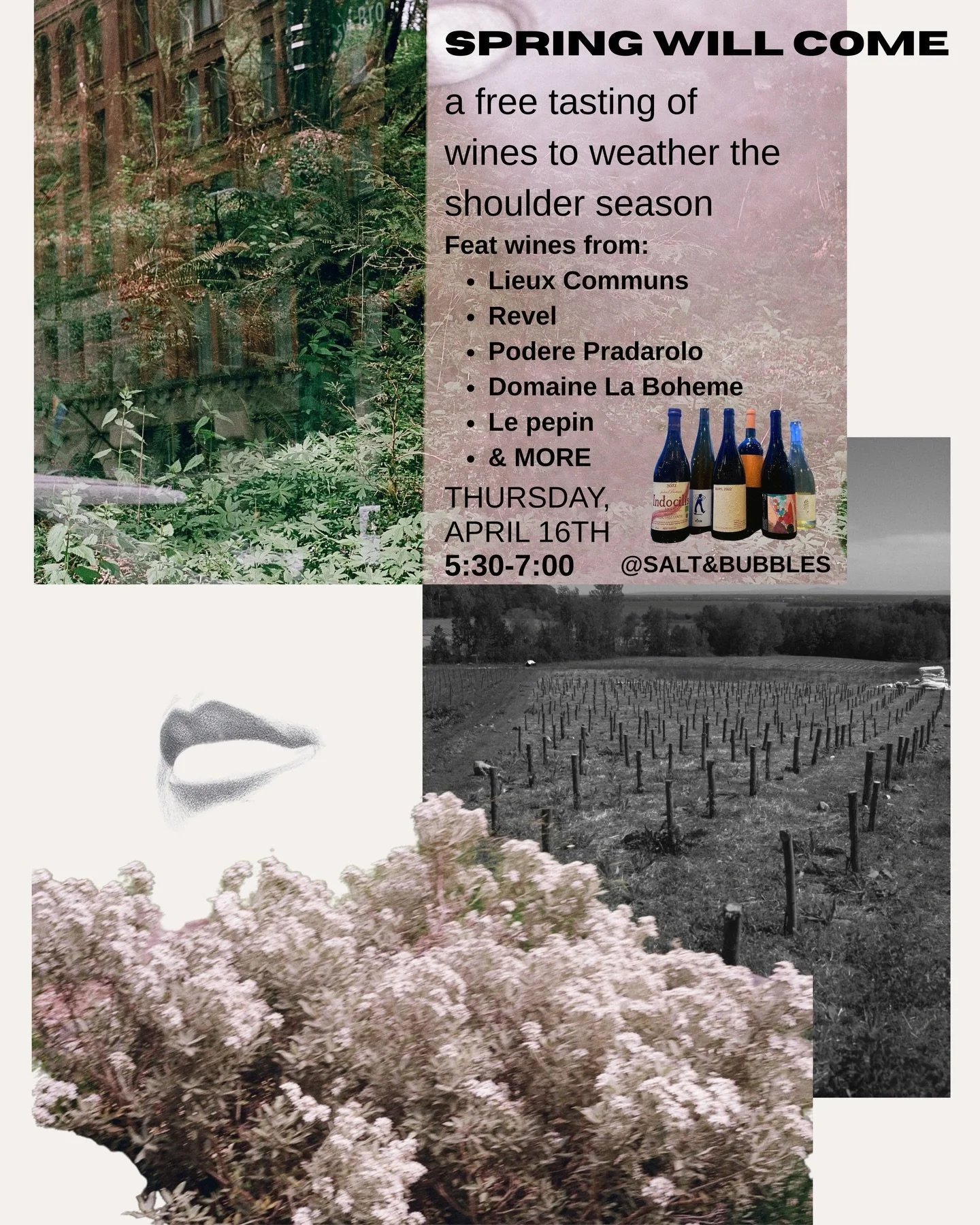 🌸🌻🌱SPRING WILL COME FREE TASTING🌸🌻🌱

By now, it is safe to say we have grown tired of the grey. Winter &amp; Spring colliding and shifting on a relentless, daily basis. The longer days give us hope, and our pallets have begun to shift towards b