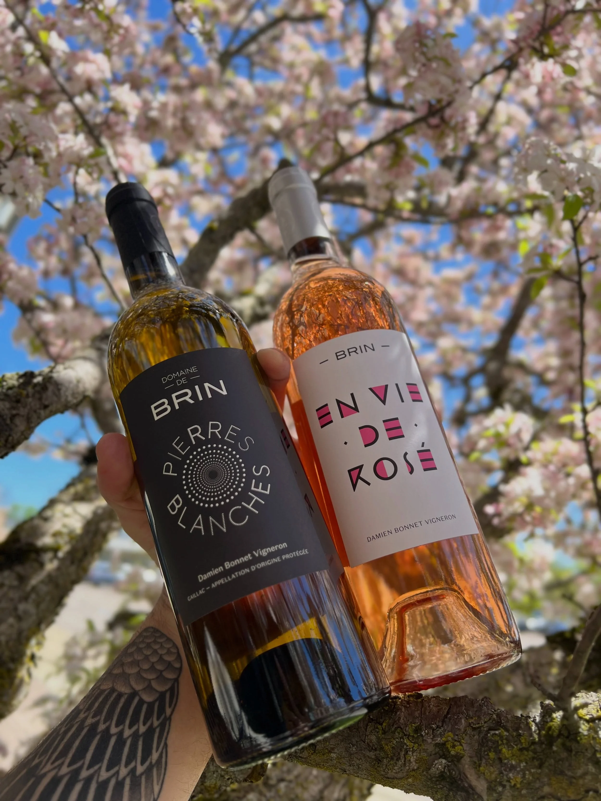 Special Glasses this weekend!! 🇫🇷🇫🇷
We will be pouring these refreshers from Domaine de Brin in Gaillac, France! It&rsquo;s not everyday we see wines from this lesser known region. 

Come sit  under the blossoms and enjoy the weekend.