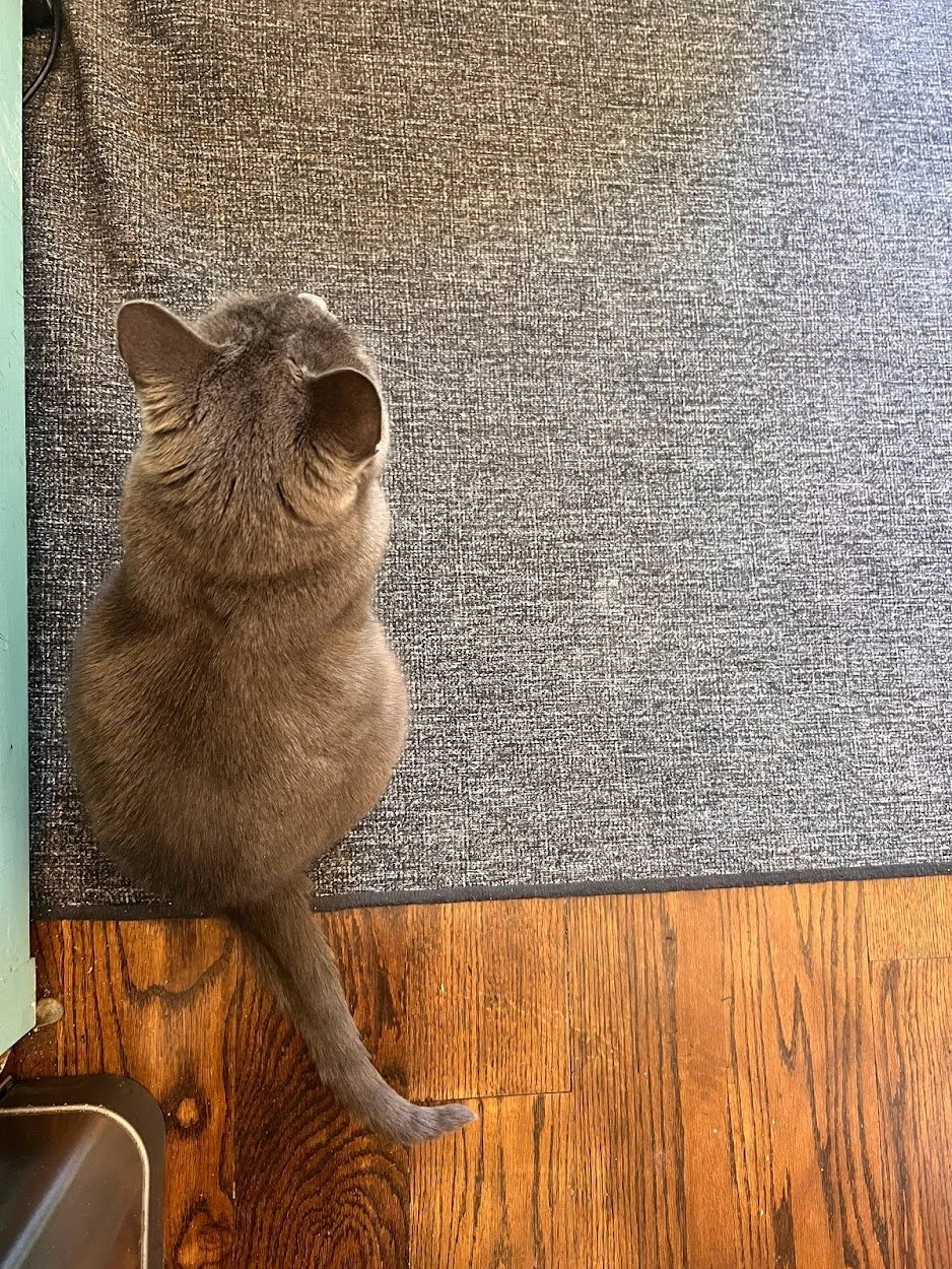 06.28.22