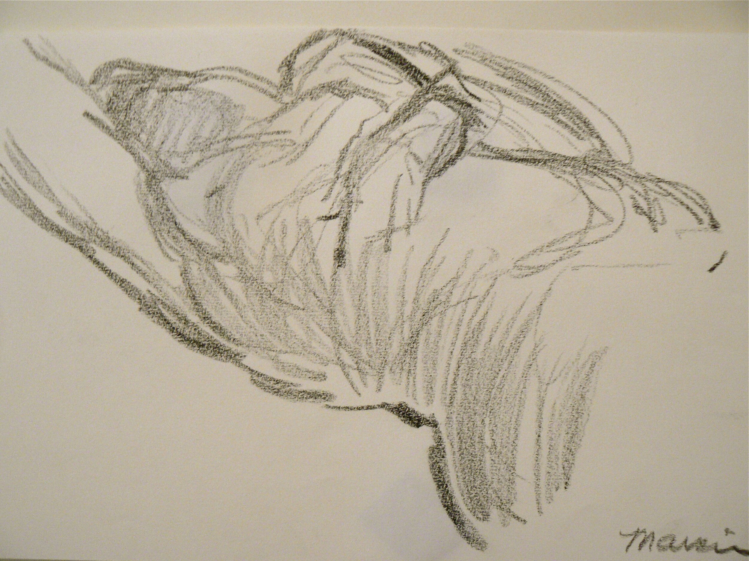 'Niobe' Pencil on Paper 11 1/2" x 7 3/4"