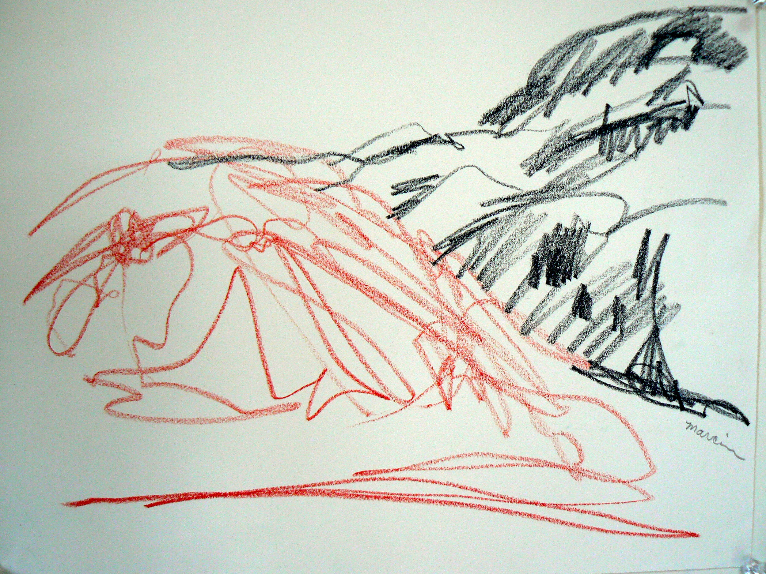 'Jackson Hole, Wyoming'  Two-Handed Pencil Drawing on Paper 14" x 11"