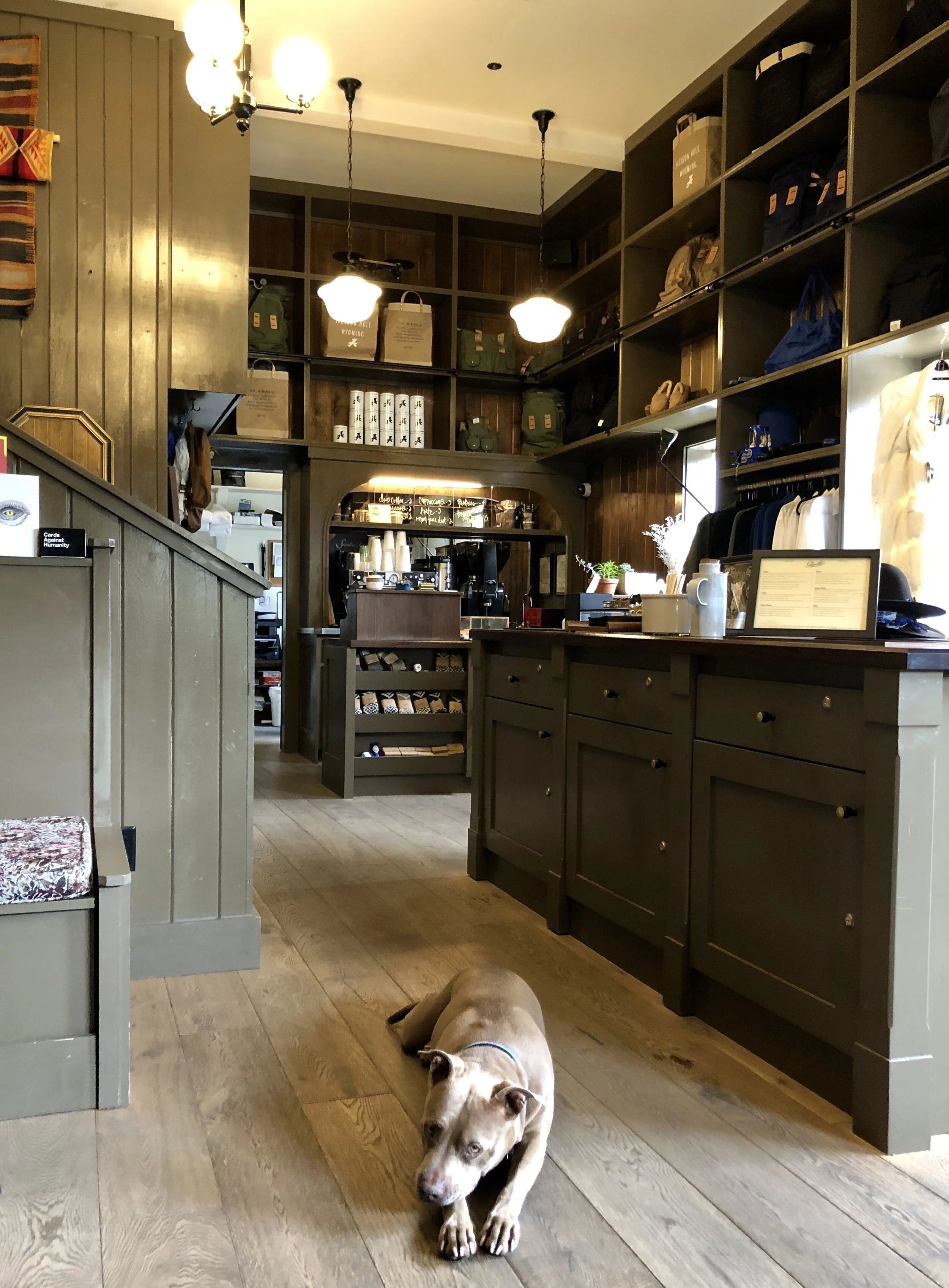 The Anvil Motel in Jackson, Wyoming has a combined check in desk and coffee bar. And while you wait for your coffee you can hang with hotel dog, Bella.