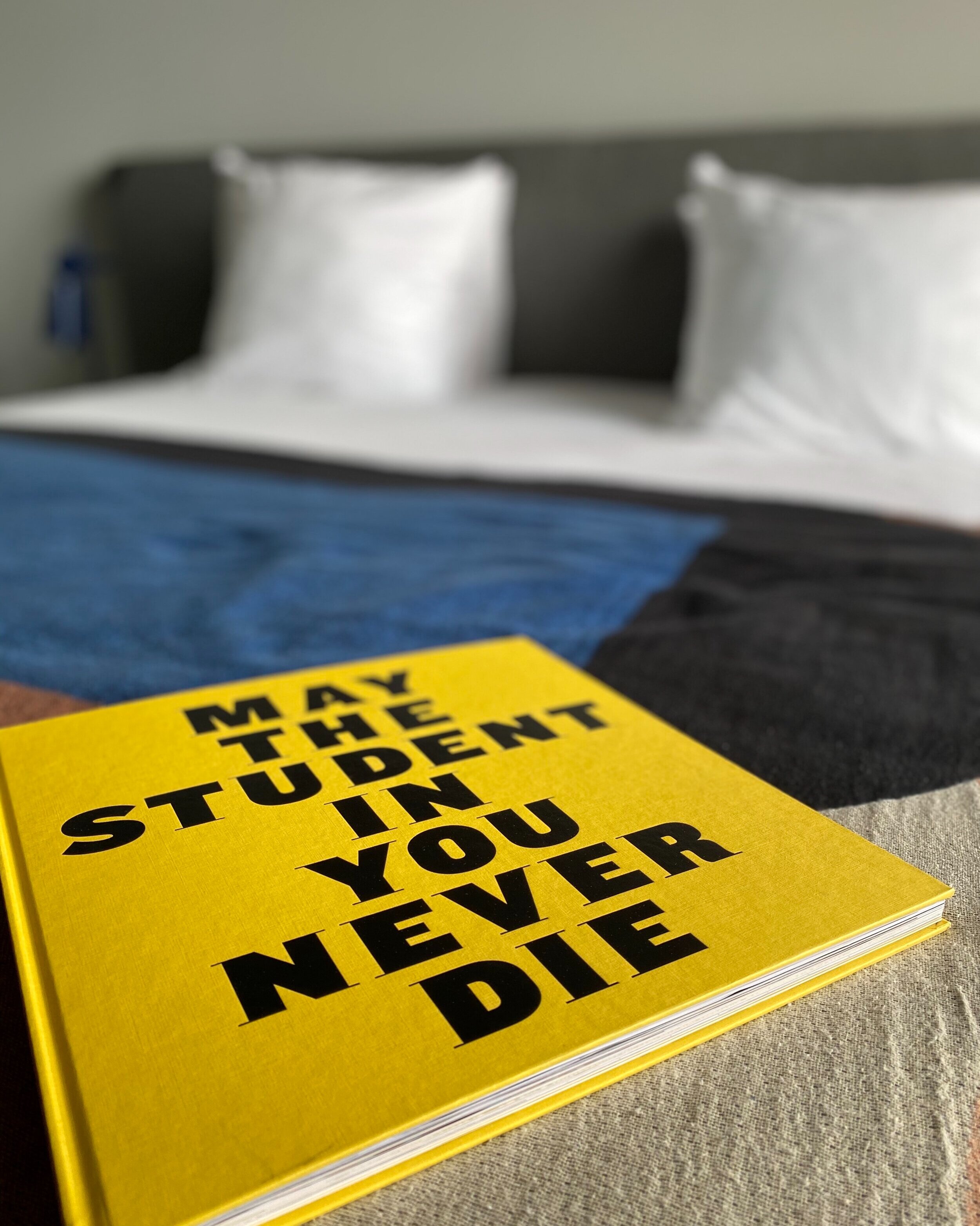 Young, buzzing hotel & student living space with fun design in Delft