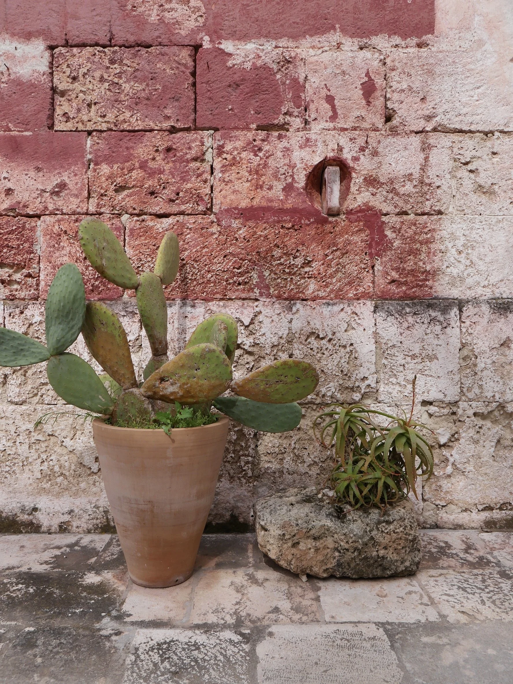 Seaside masseria on Puglia’s east coast where food is simply amazing