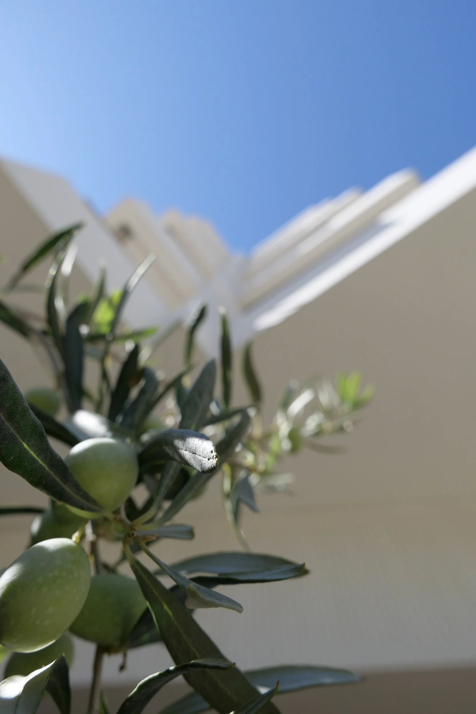 70s inspired hotel just south of Athens with a vintage seaside resort vibe