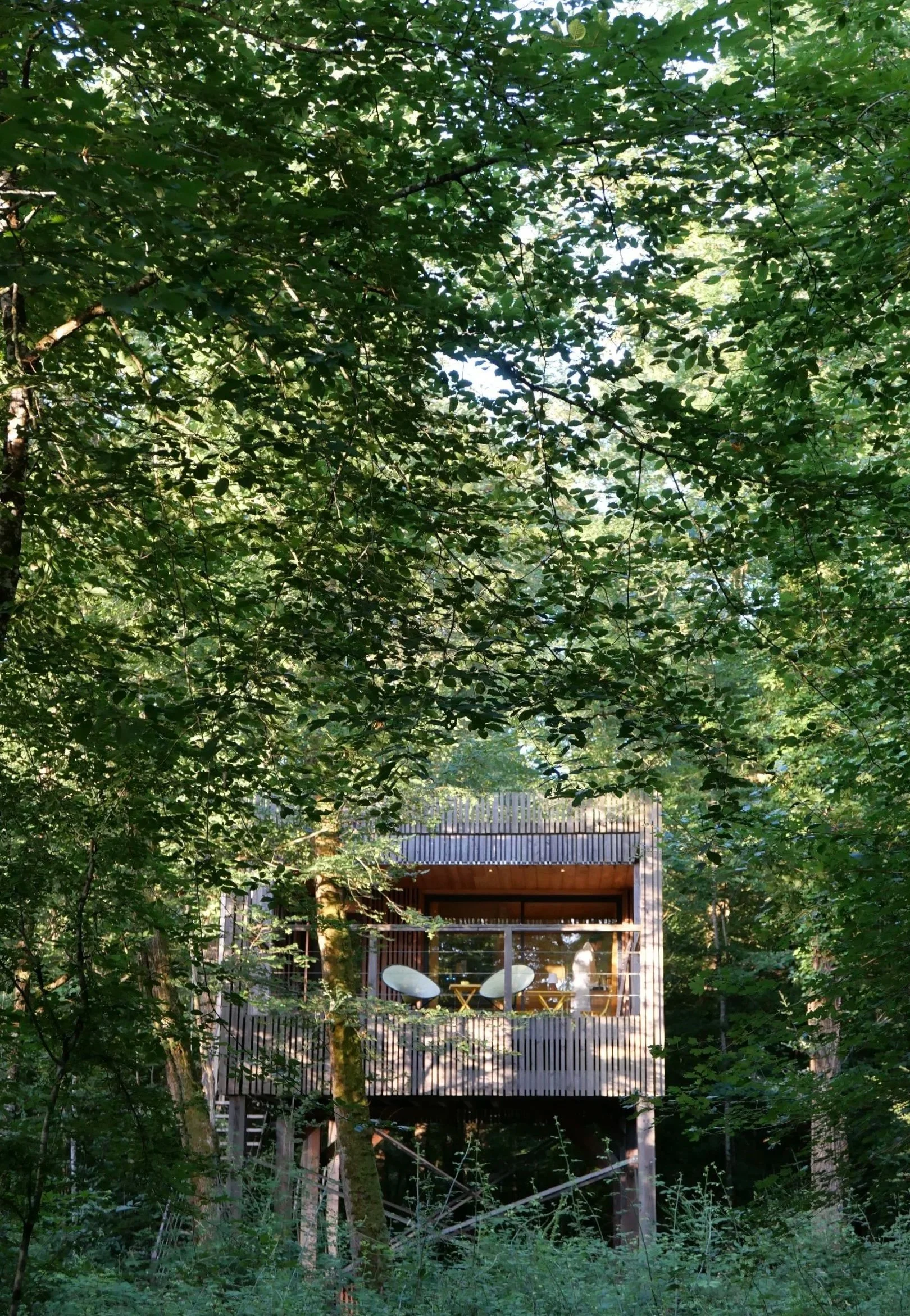 Elevated contemporary cabins in lush forest land in French Loire Valley