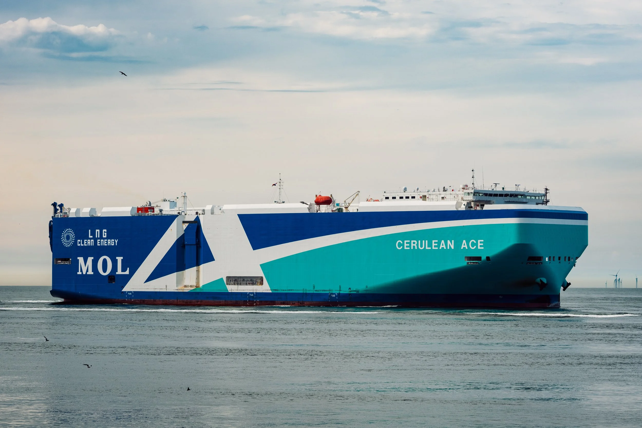 Cerulean Ace @ Rotterdam