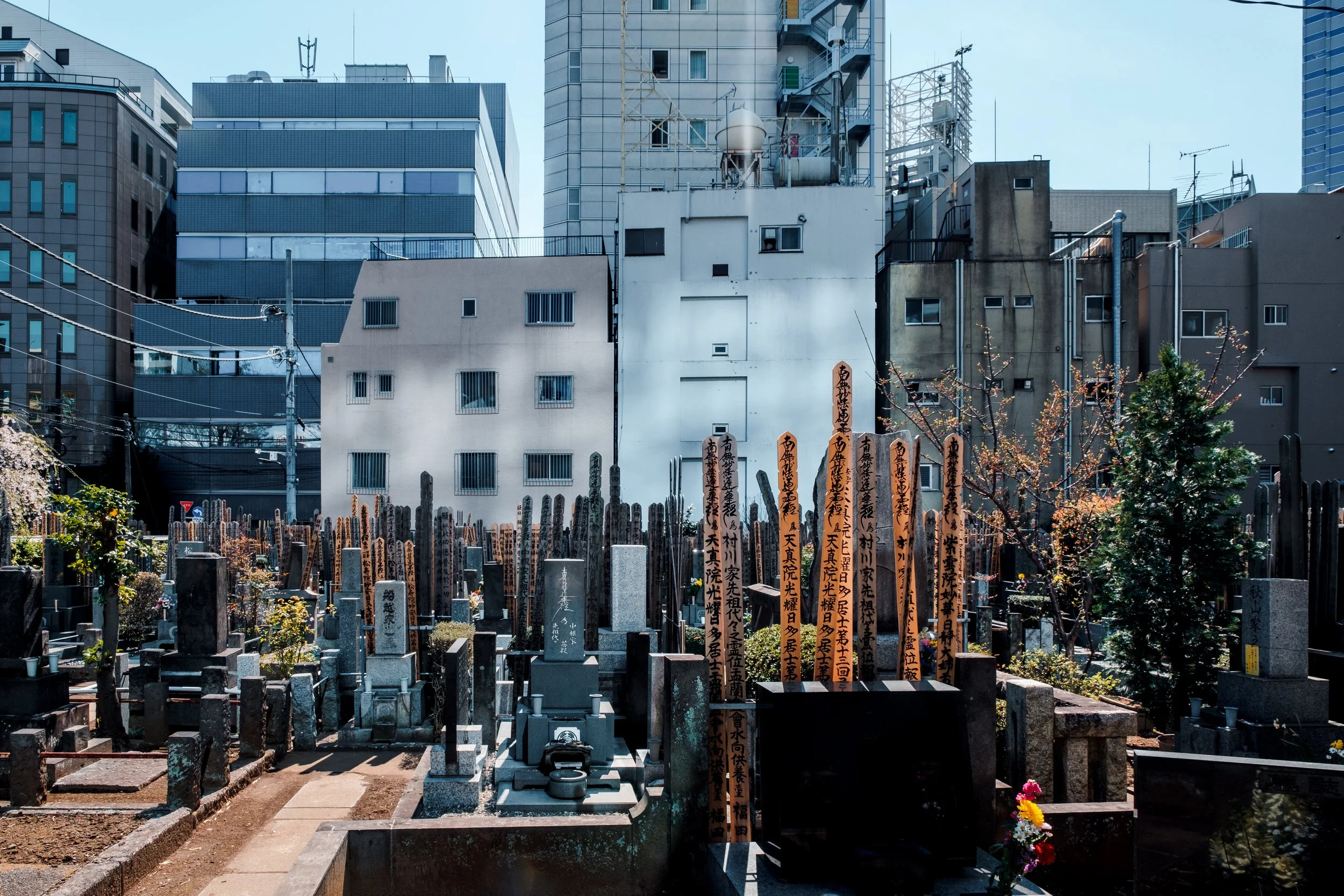 Joenji hofið, Tokyo
