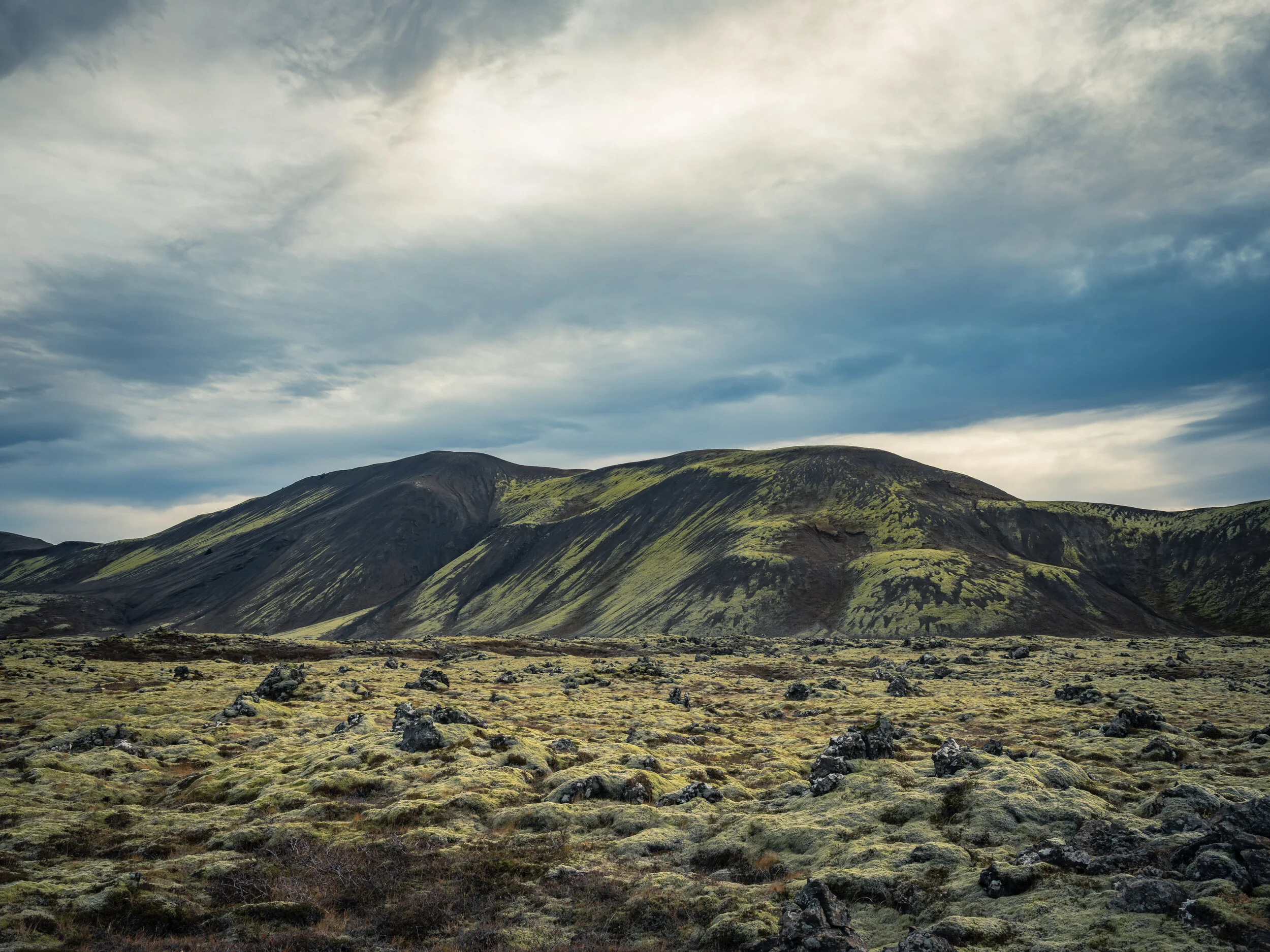 Reyðarbarmur
