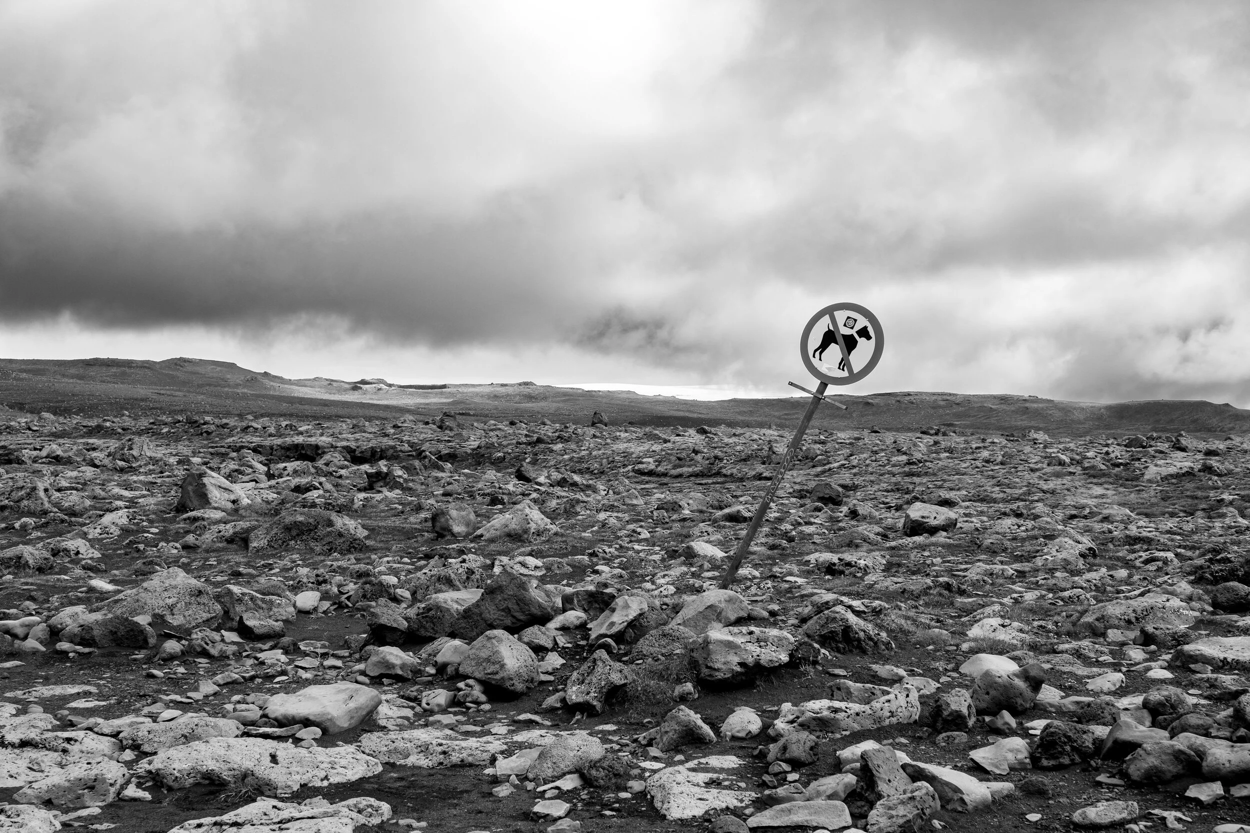 No dogs allowed on Fimmvörðuháls