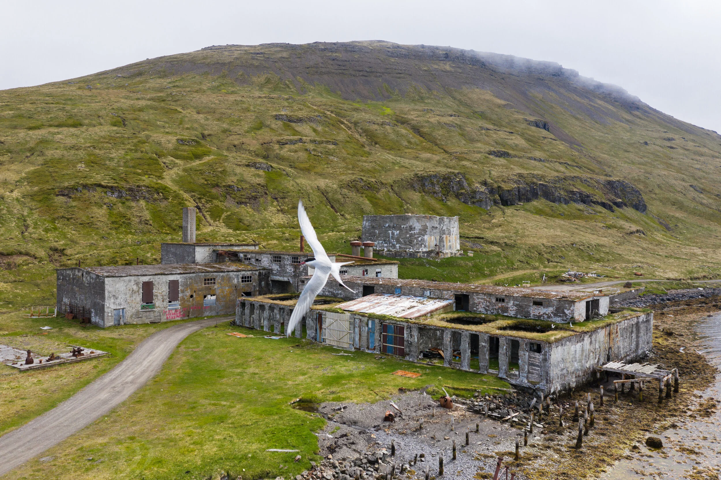 Old herring factory in Ingólfsfjörður