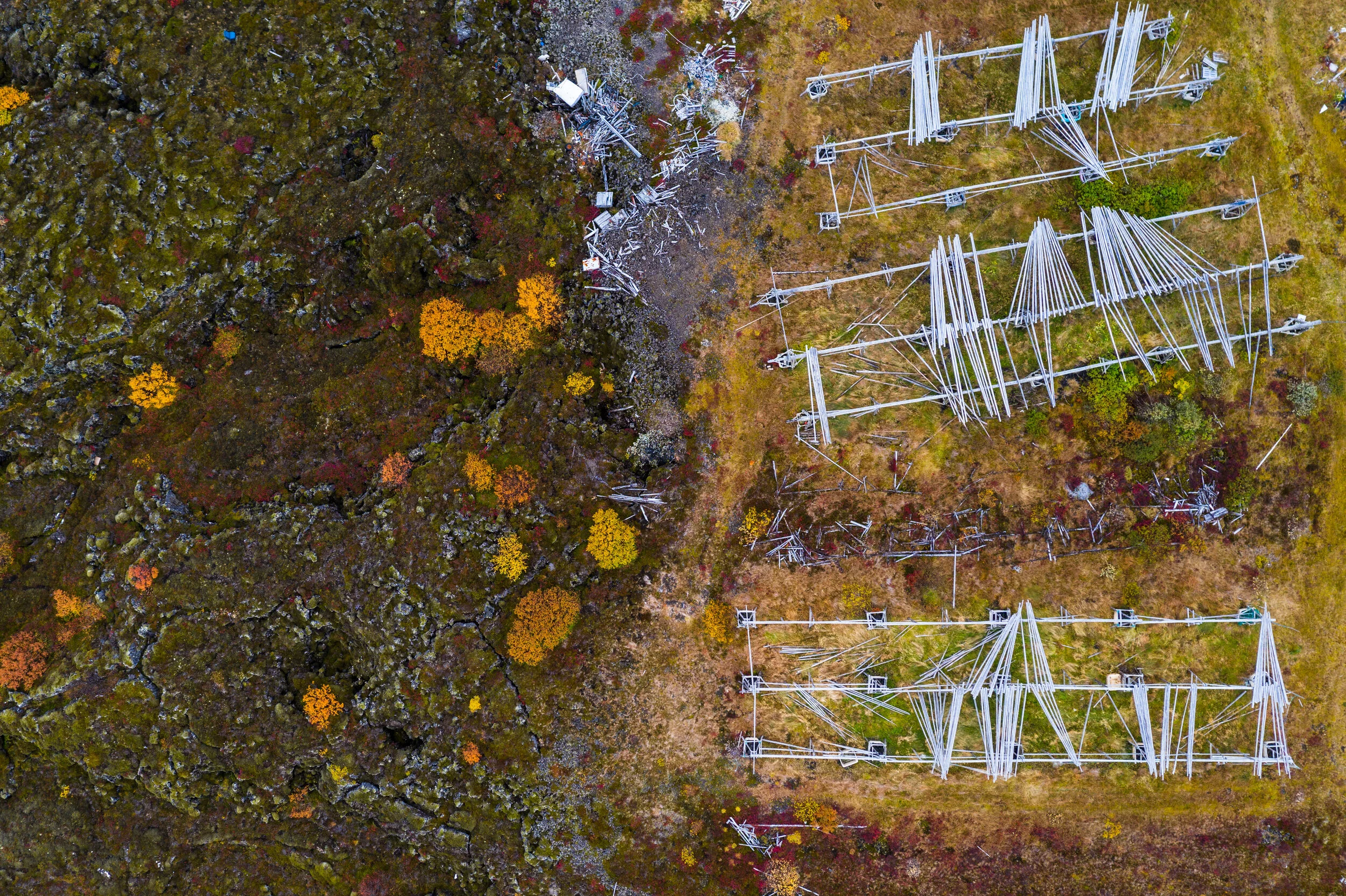 Fish drying