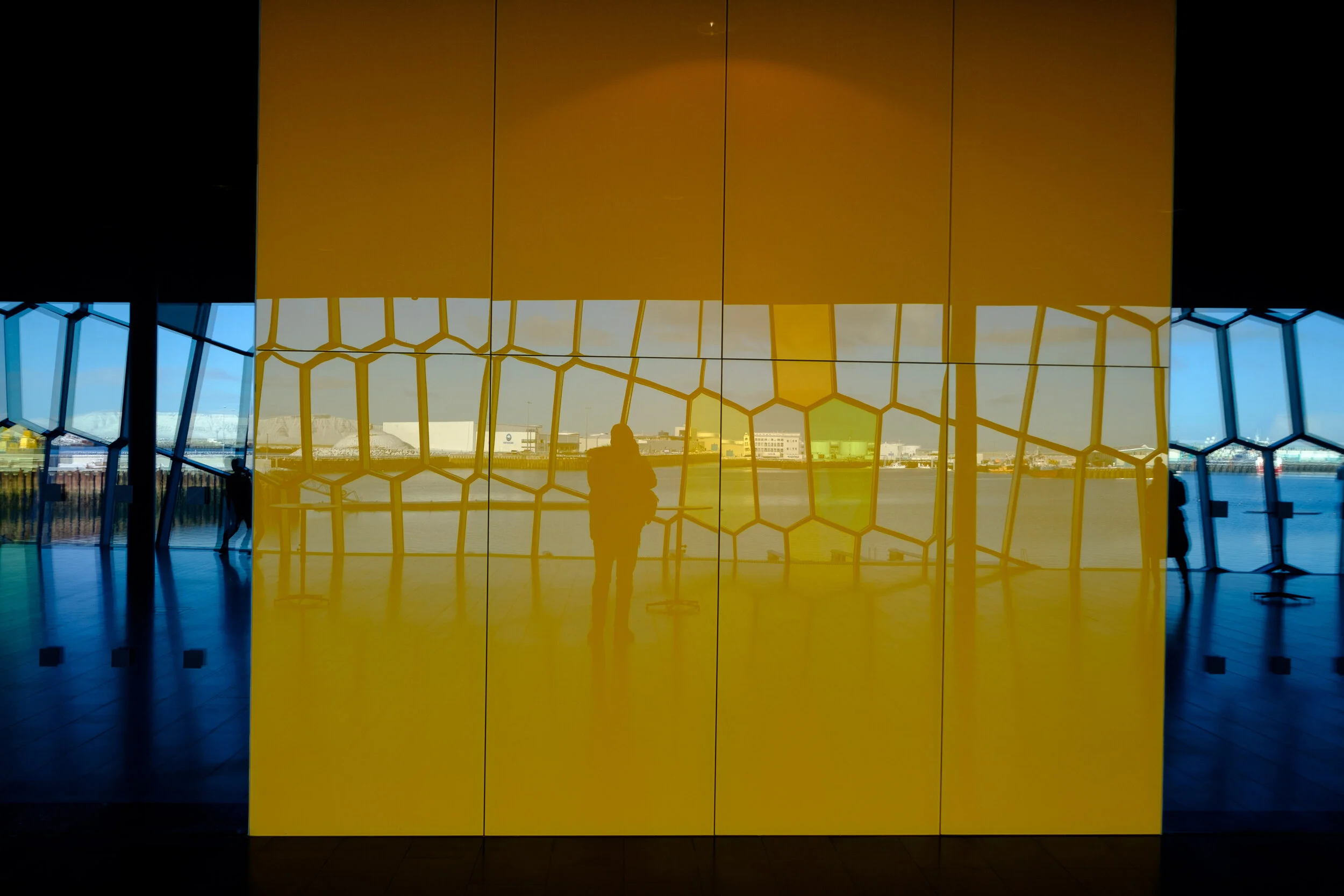 Harpa, Reykjavík