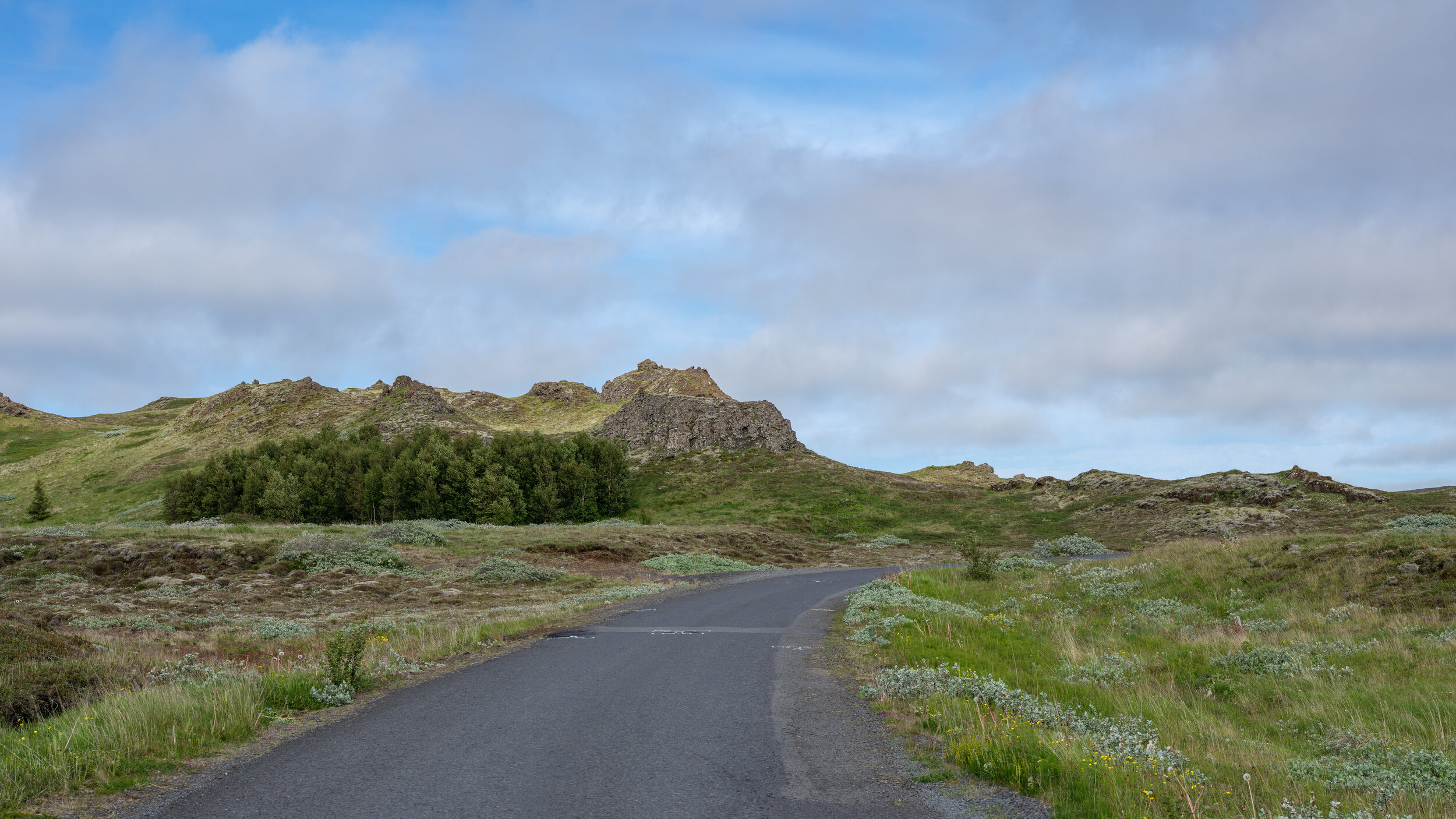 353 - Kiðjabergsvegur